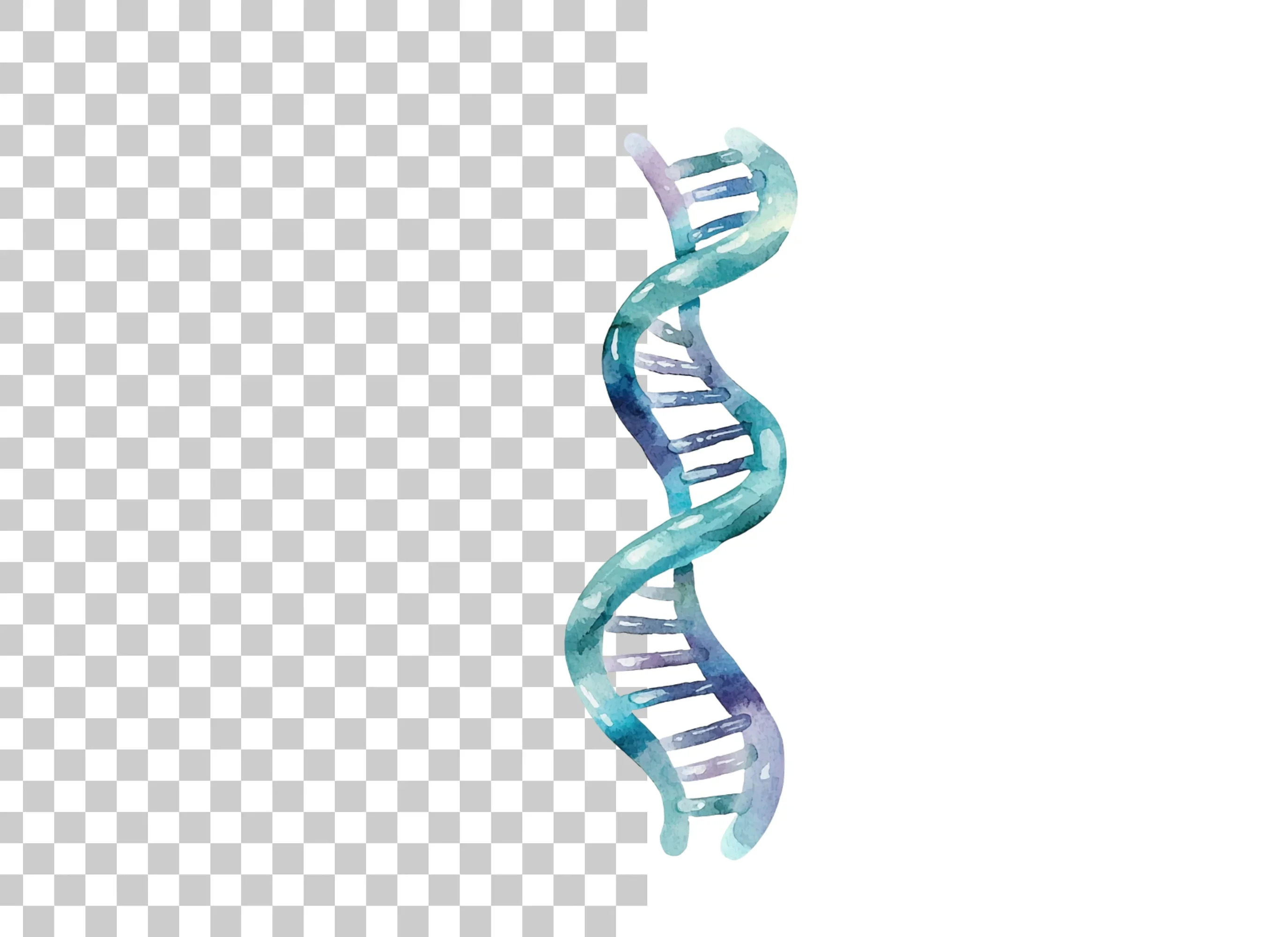 DNA Strand Clipart Bundle - Image 2
