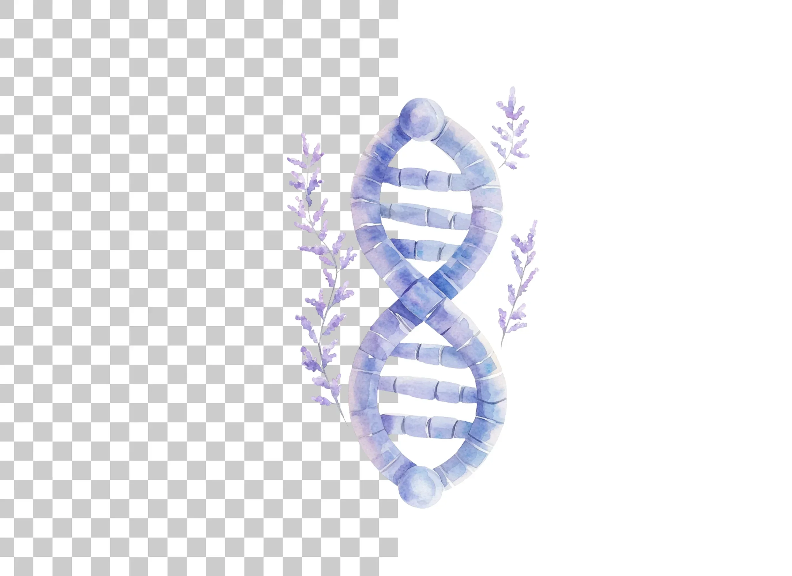 DNA Strand with Lavender Clipart Bundle - Image 6
