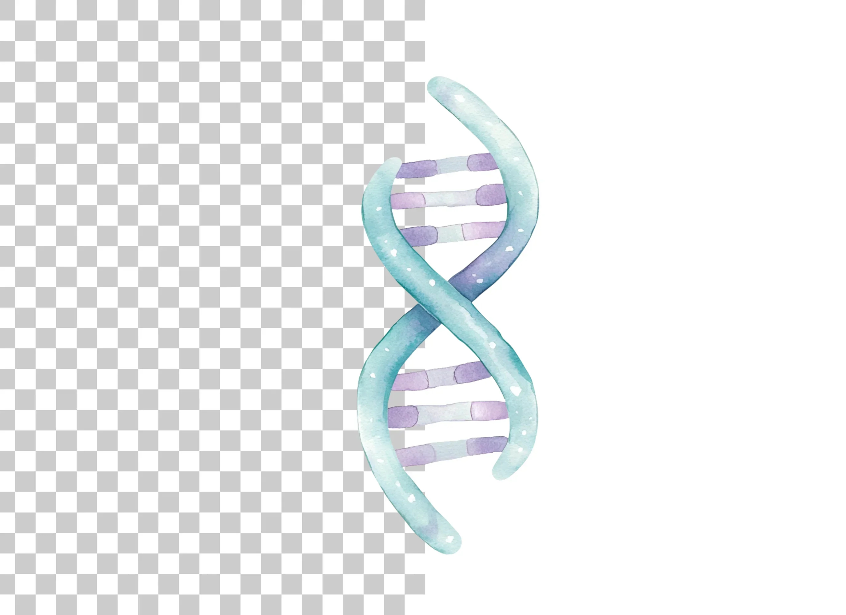 DNA Strands Clipart Bundle - Image 2