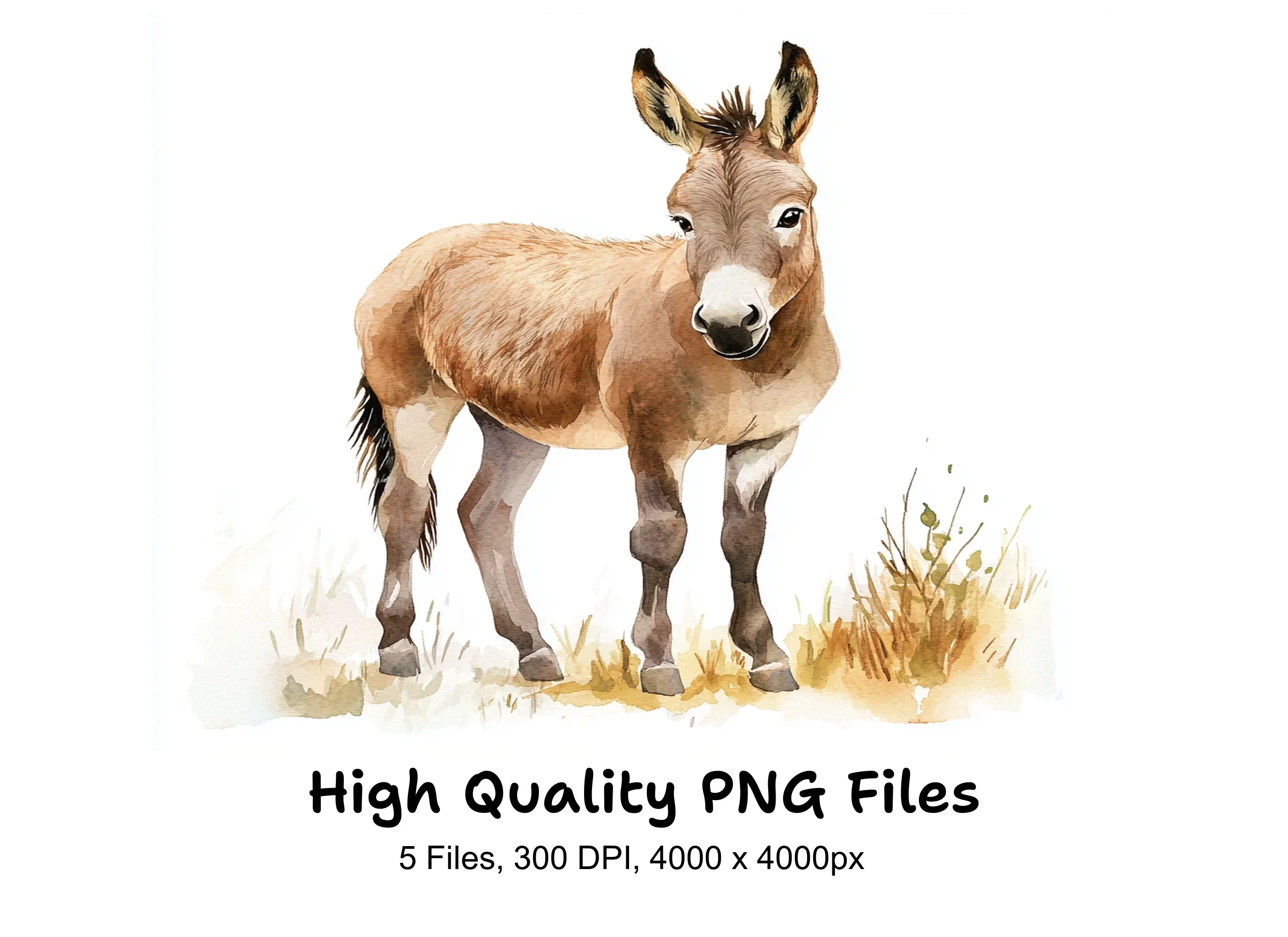 Donkey Clipart Bundle