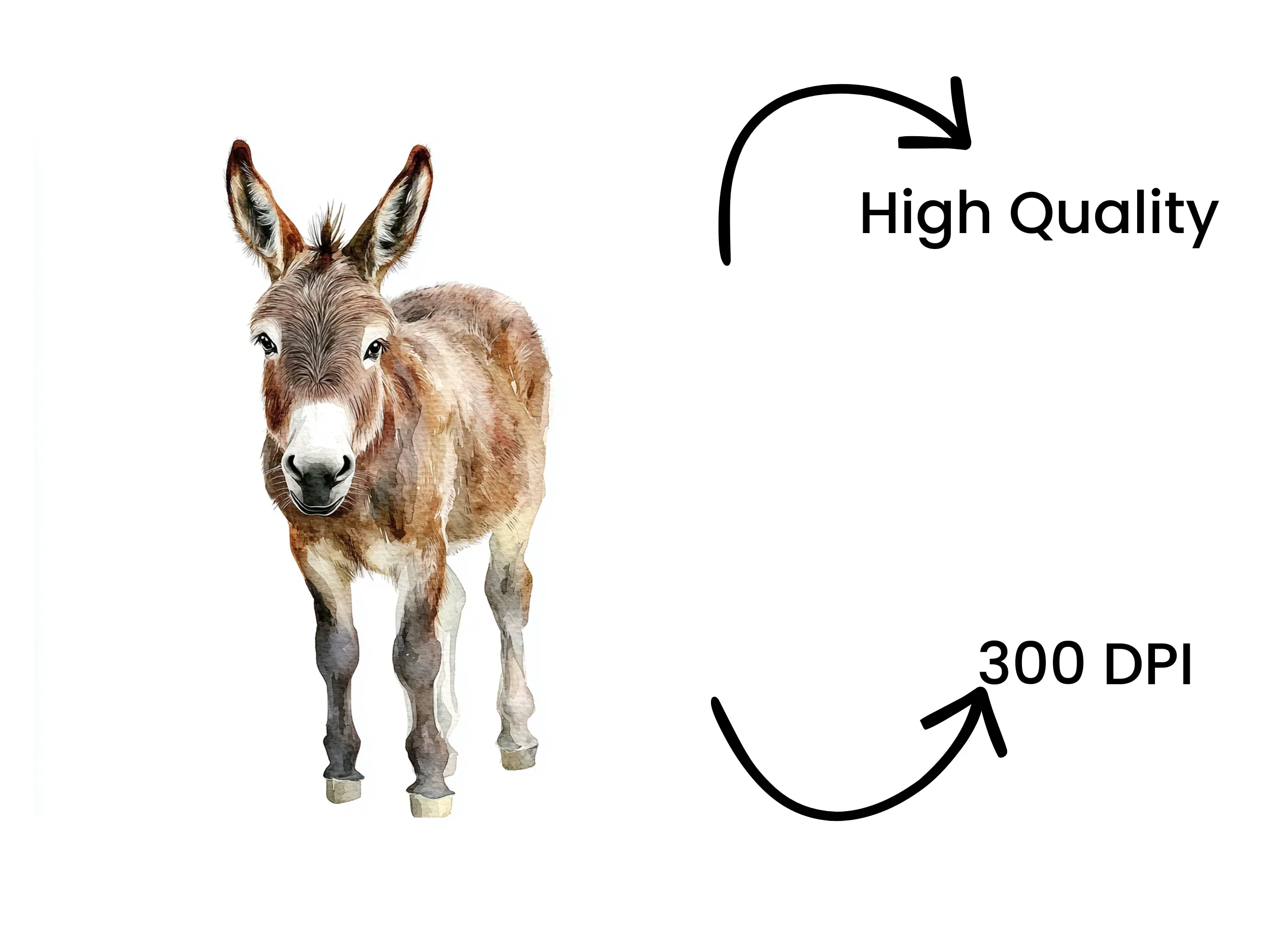 Donkey Clipart Bundle - Image 4