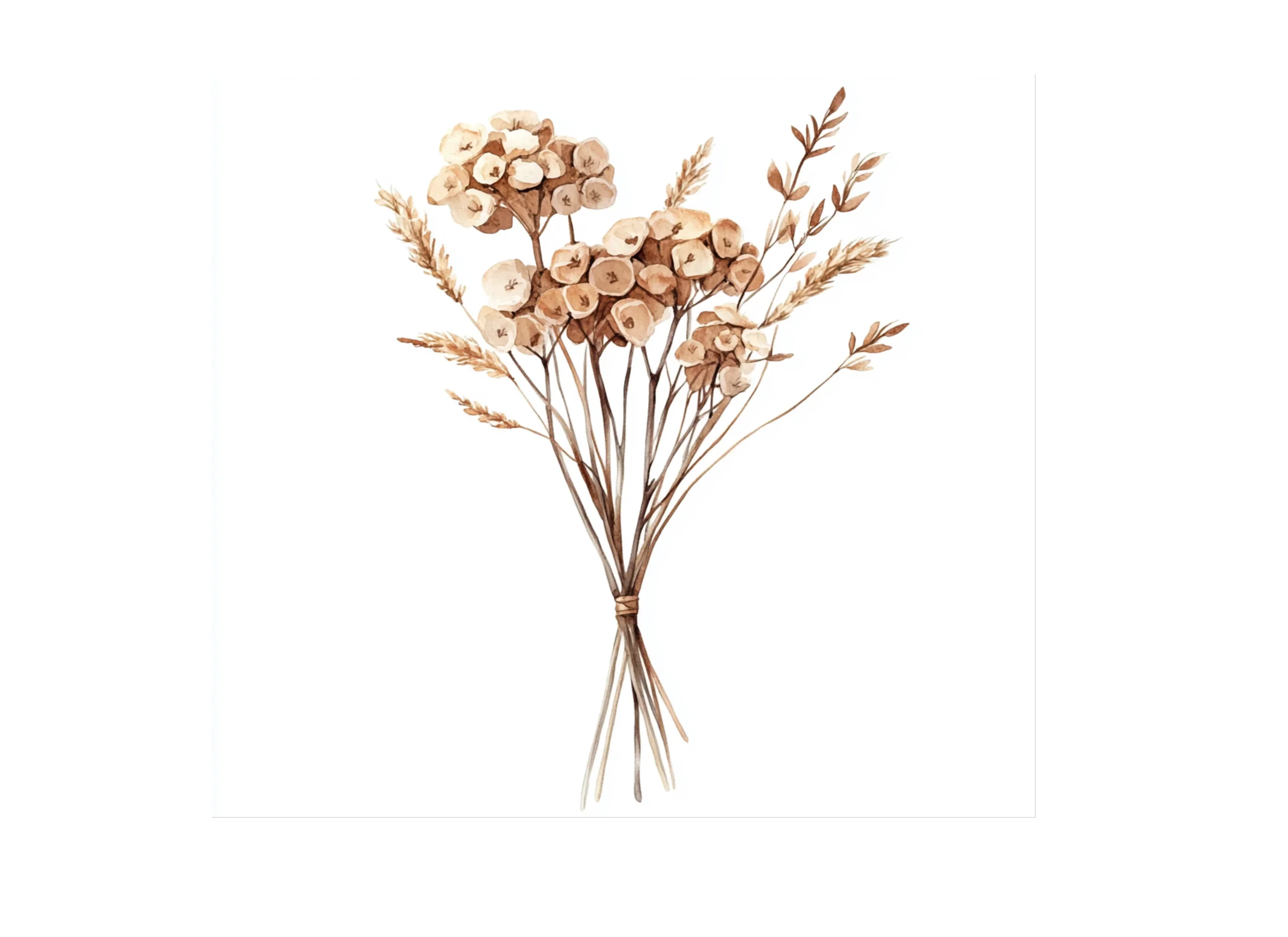Dried Flower Bouquet Clipart Bundle - Image 2