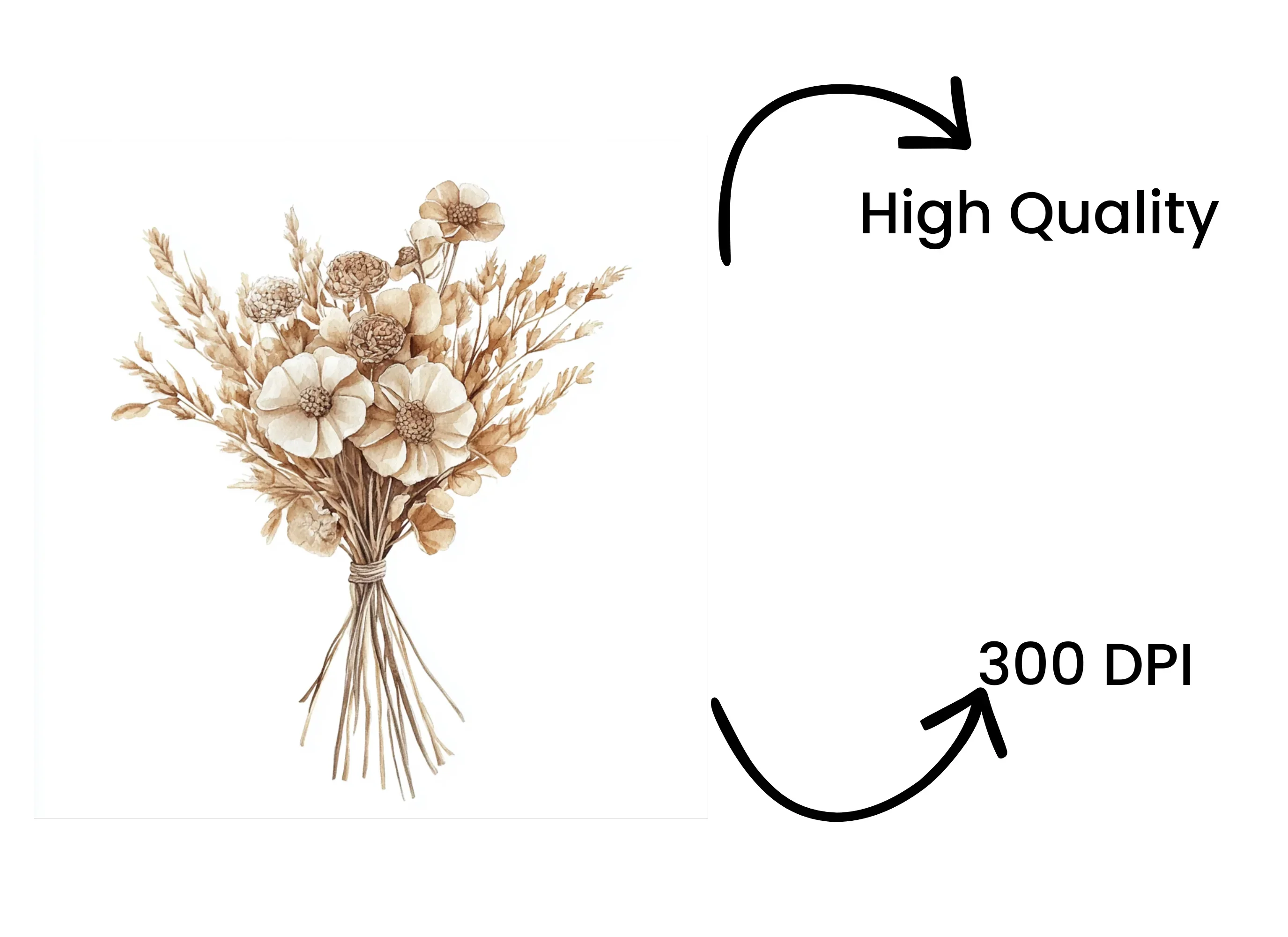 Dried Flower Bouquet Clipart Bundle - Image 4