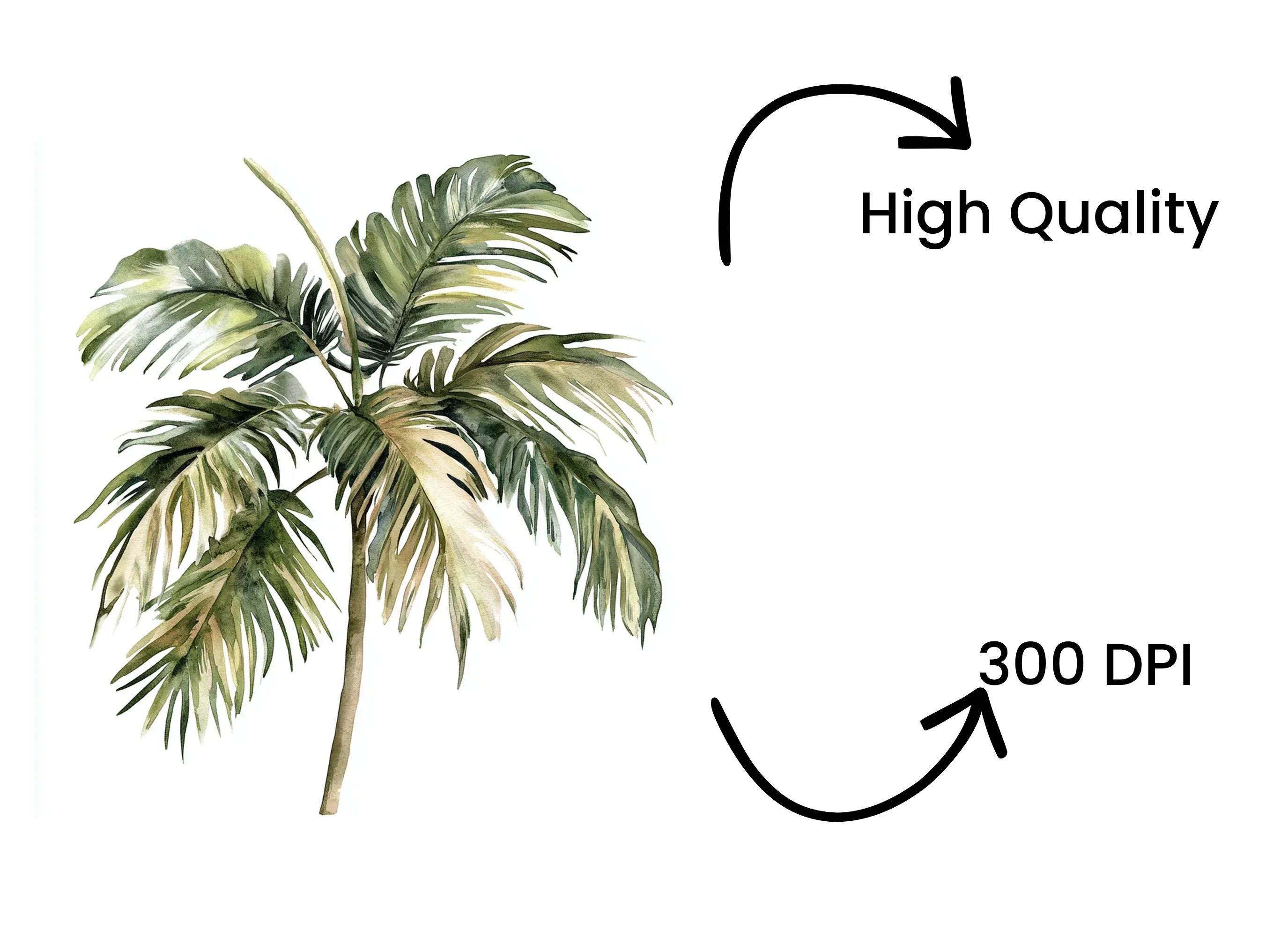 Dried Palm Leaves Clipart Bundle - Image 4