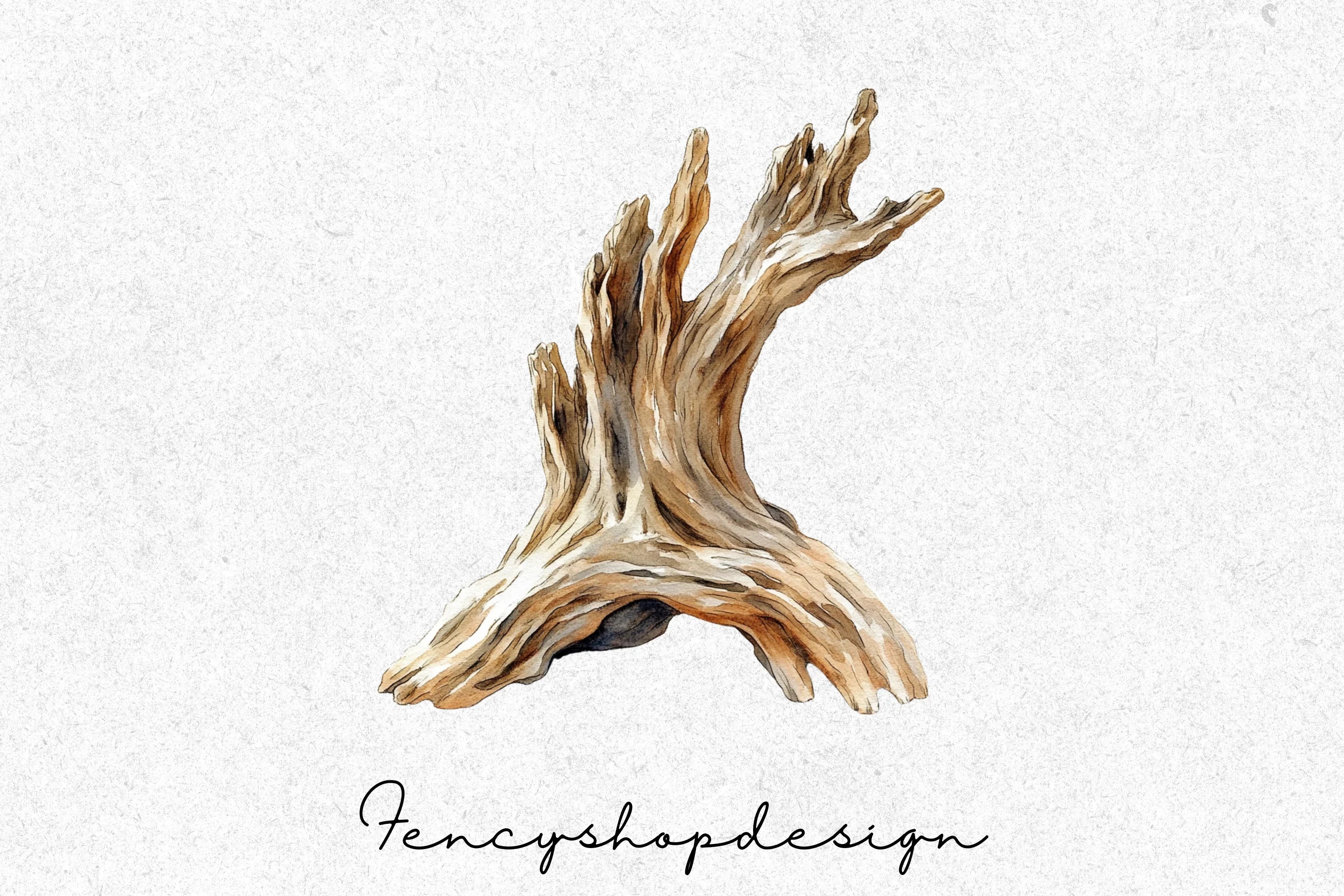 Driftwood Clipart Bundle - Image 4