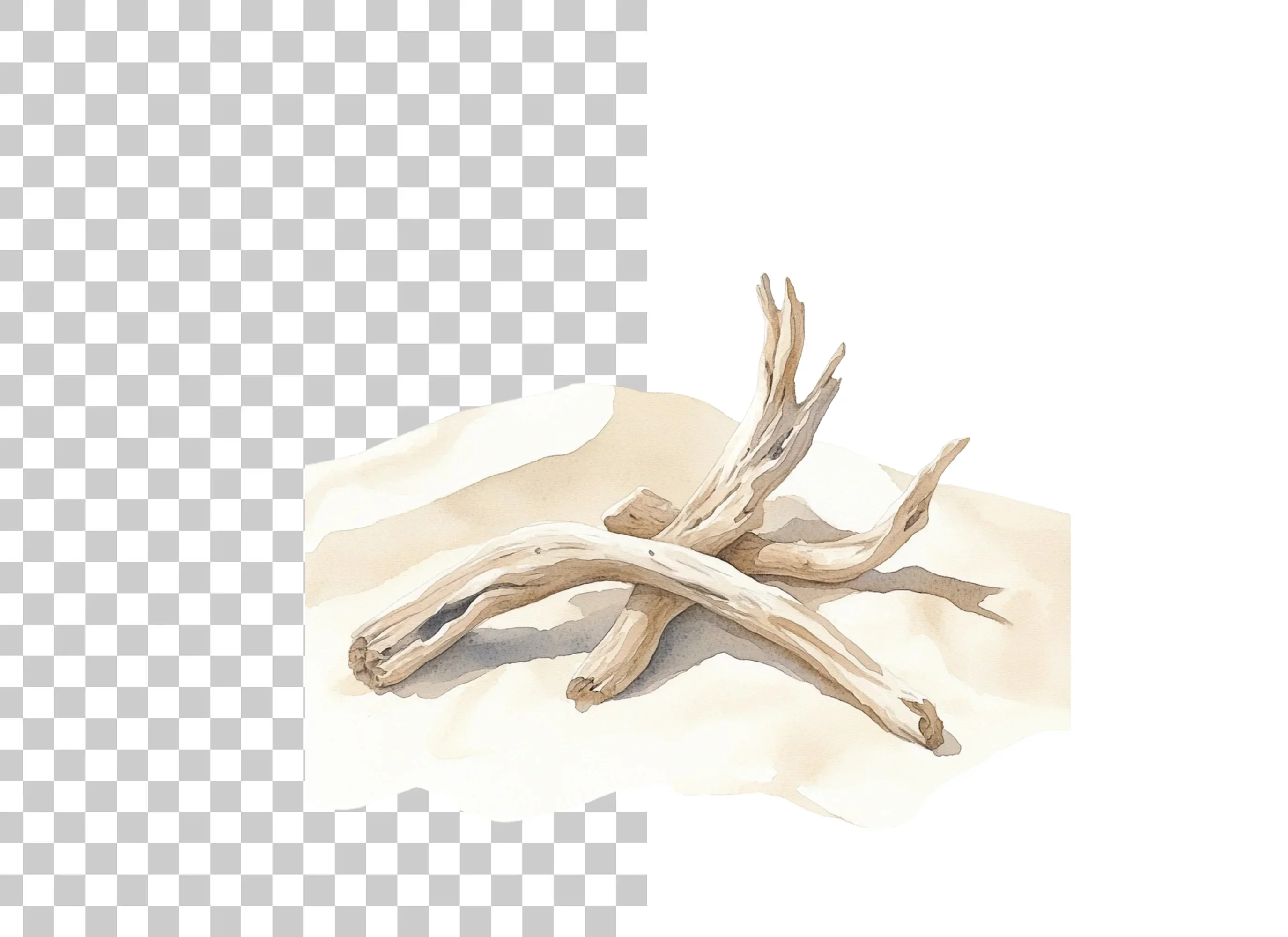 Driftwood on Sandy Beach Clipart Bundle - Image 2