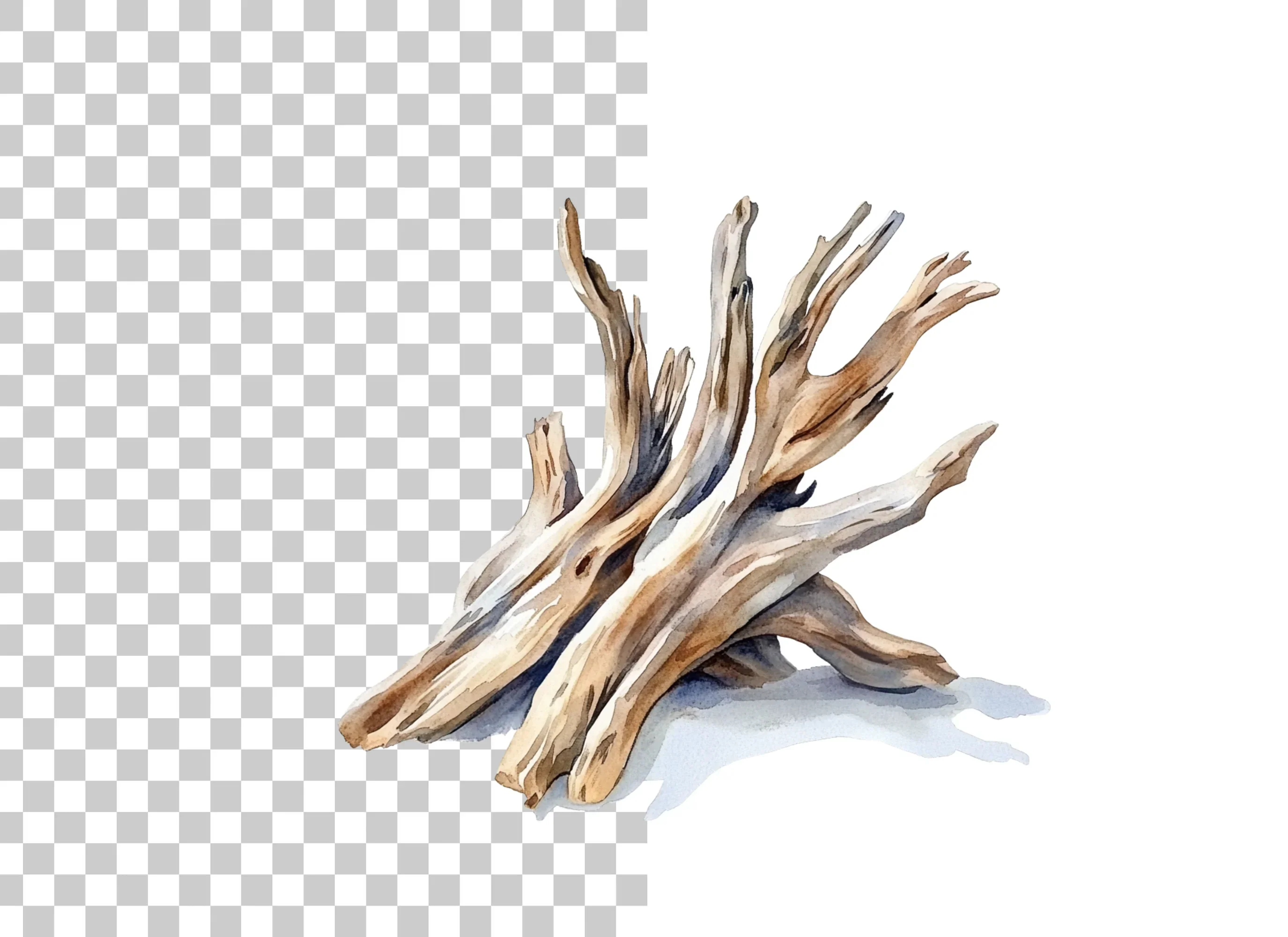 Driftwood Pile Clipart Bundle - Image 6