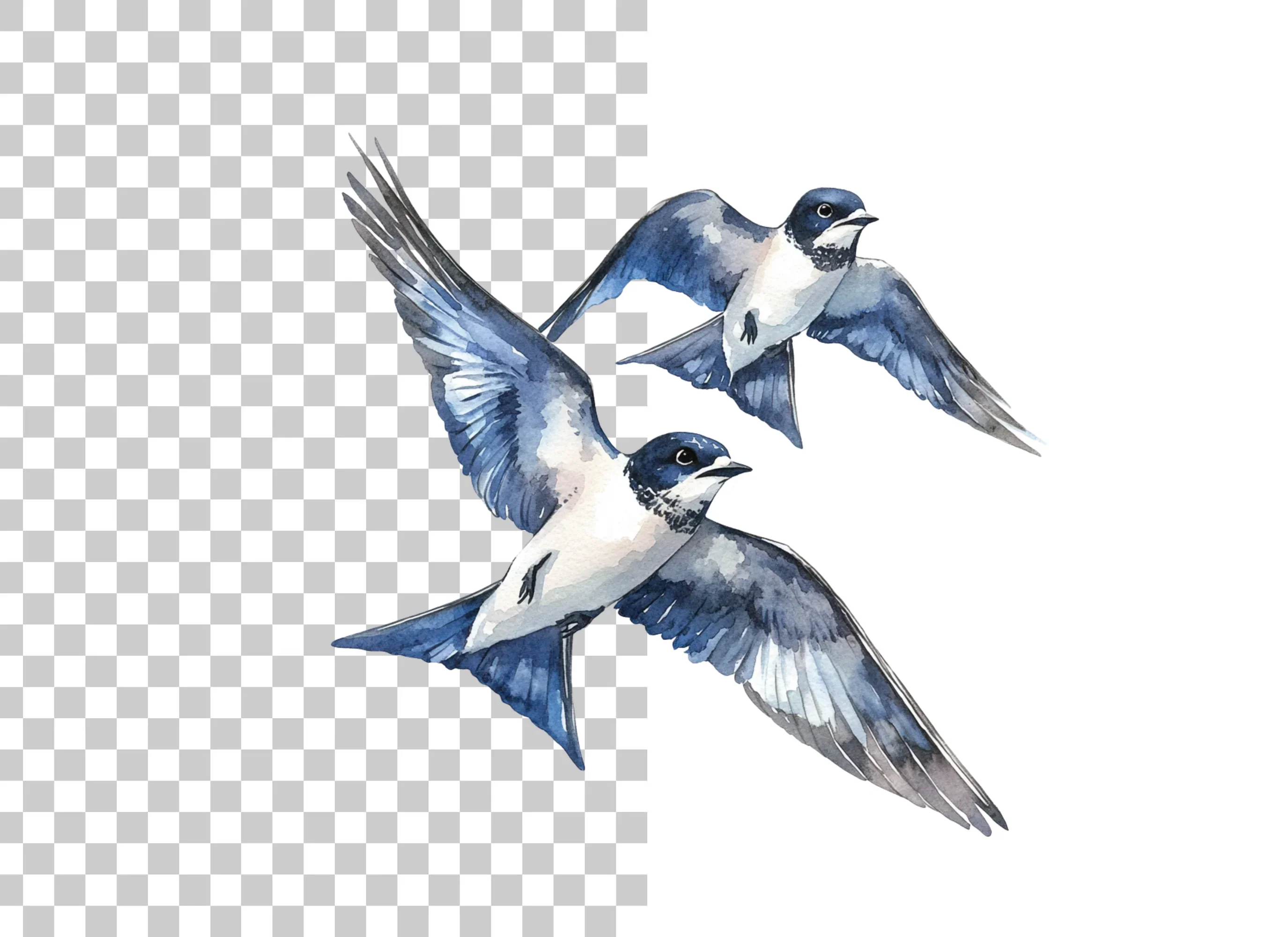 Dynamic Swallow Flight Clipart Bundle - Image 6