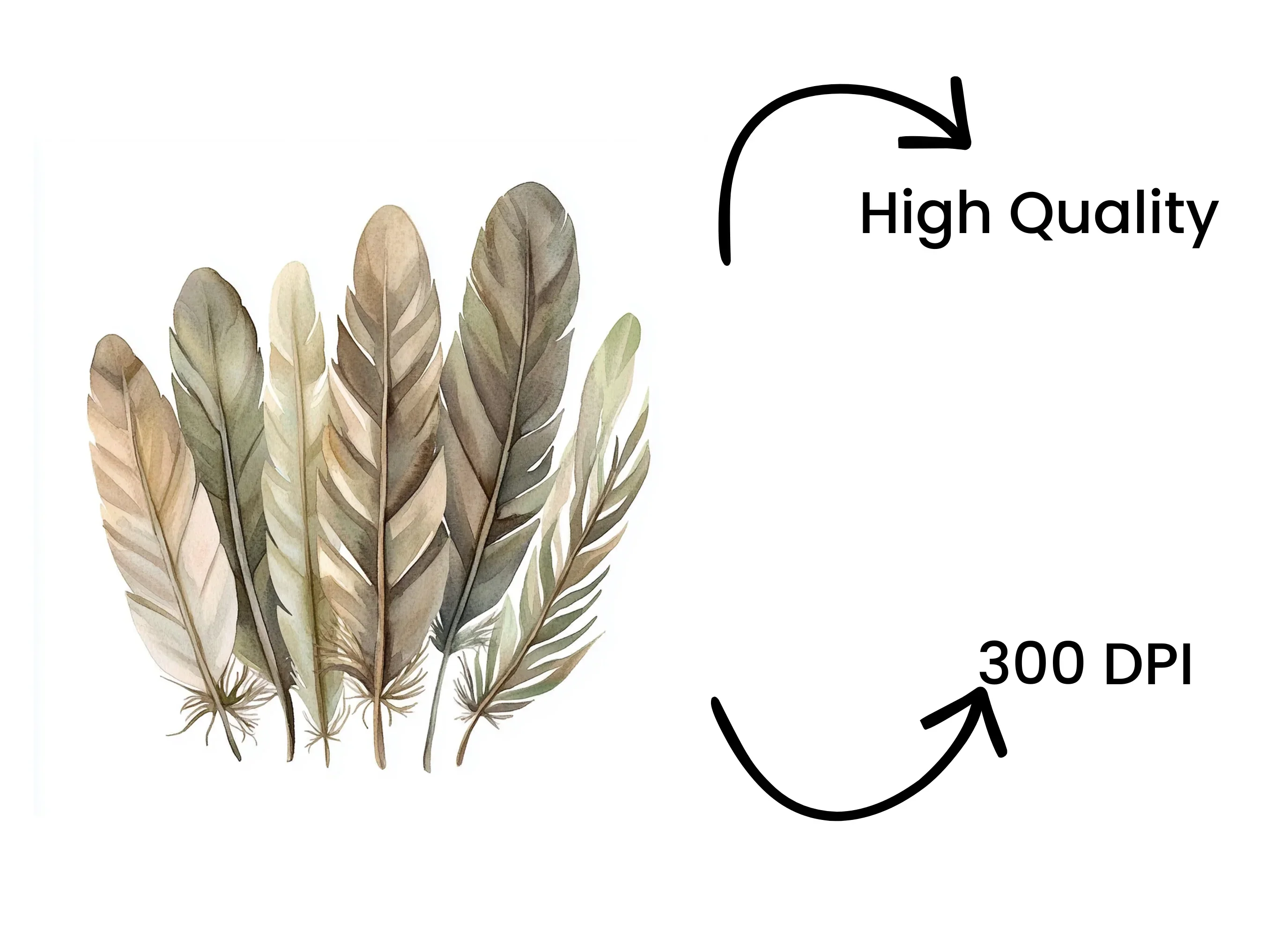 Earthy Tone Feather Grass Clipart Bundle - Image 4