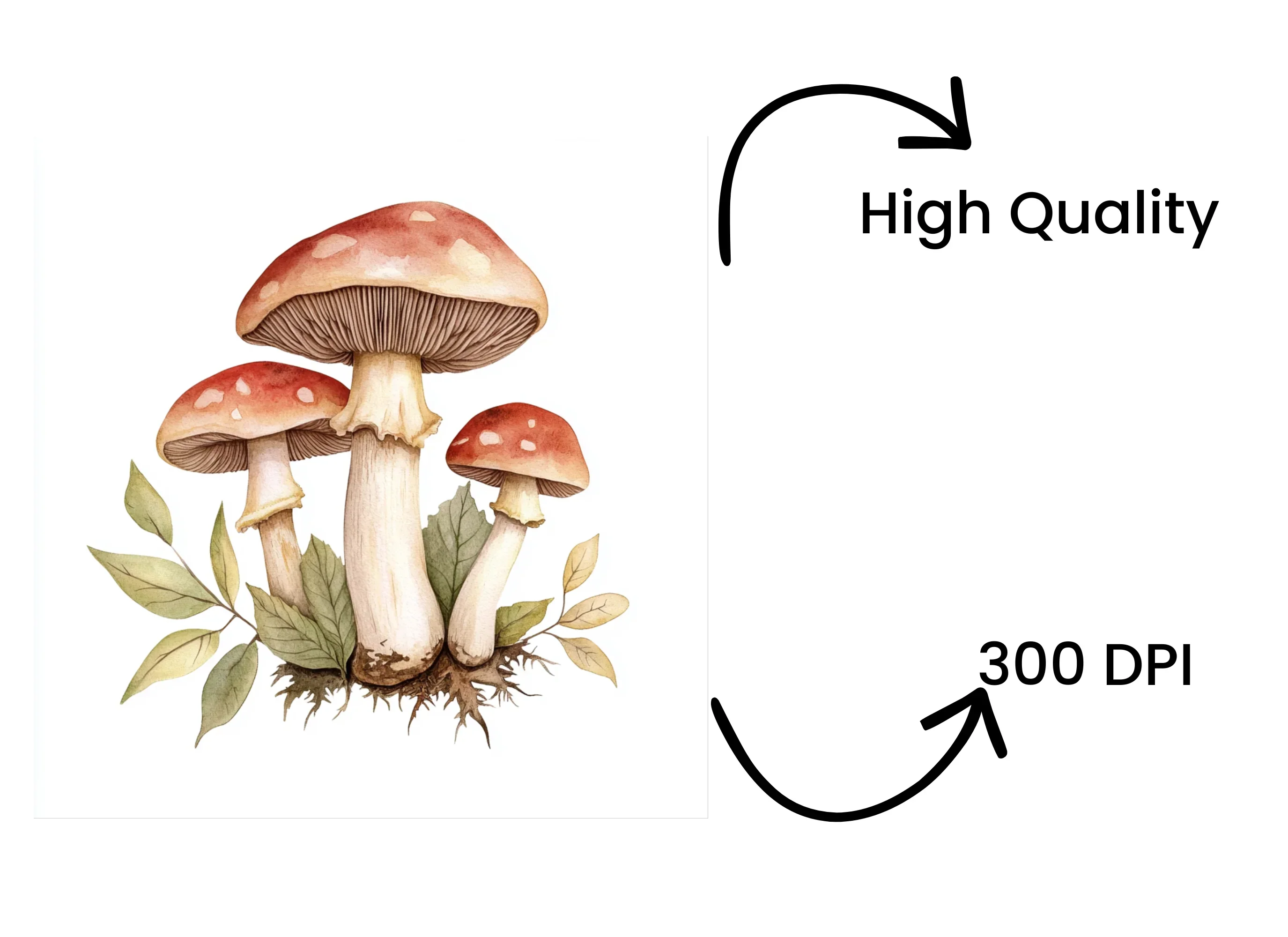 Earthy Toned Mushroom Clipart Bundle - Image 4