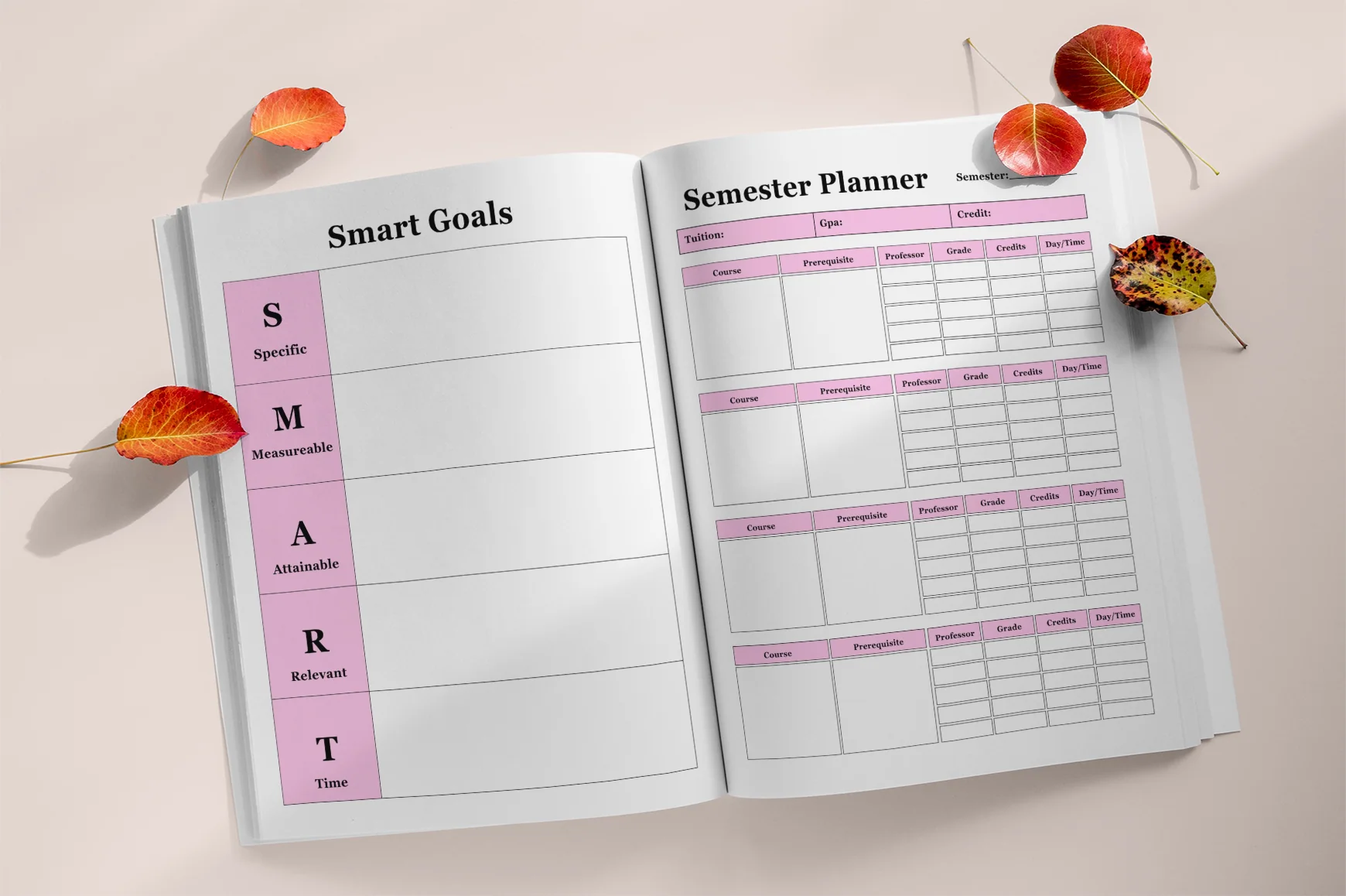 Educator Success Planning Book - Image 2