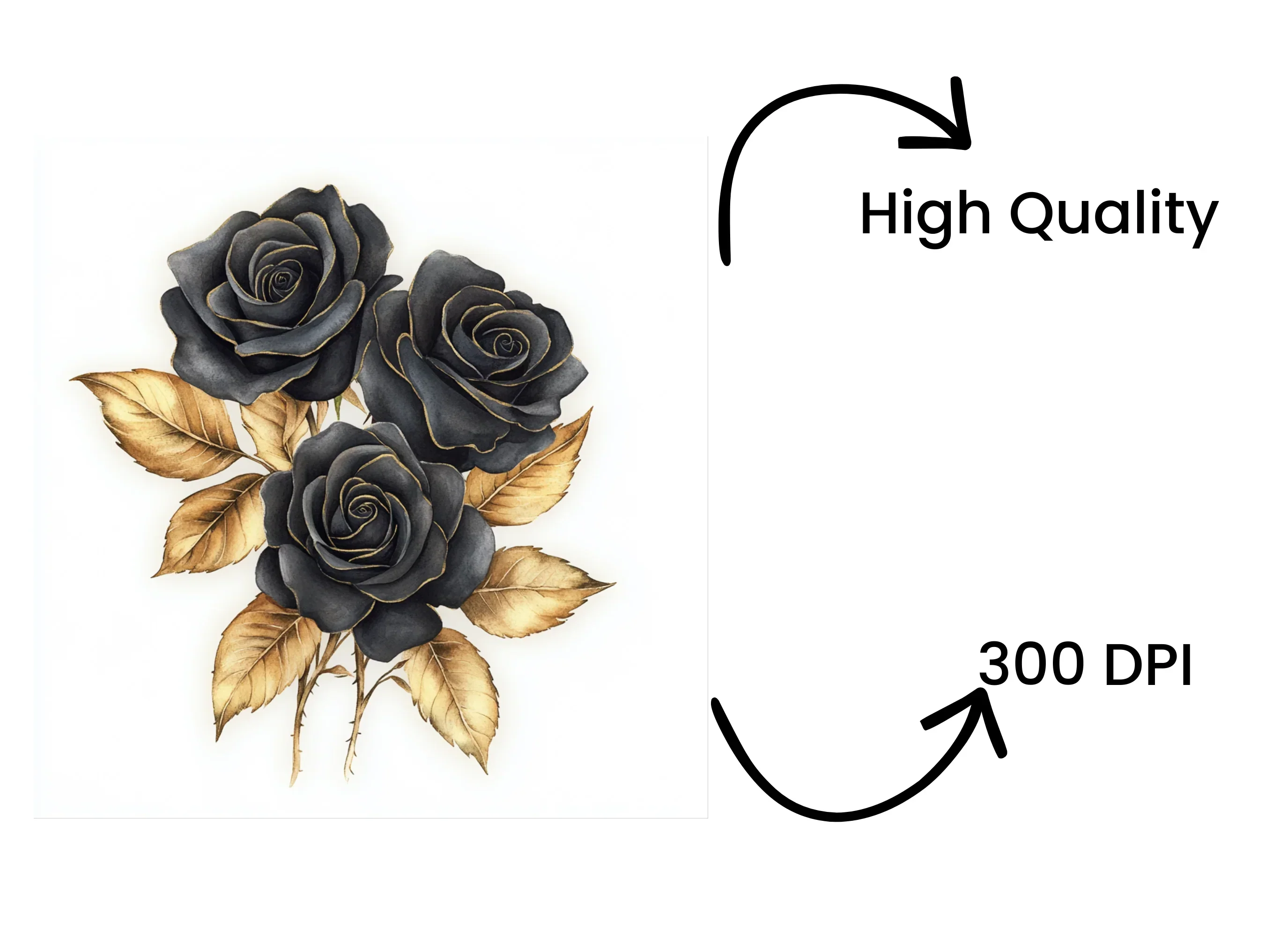 Elegant Black Roses with Gold Leaves Clipart Bundle - Image 4