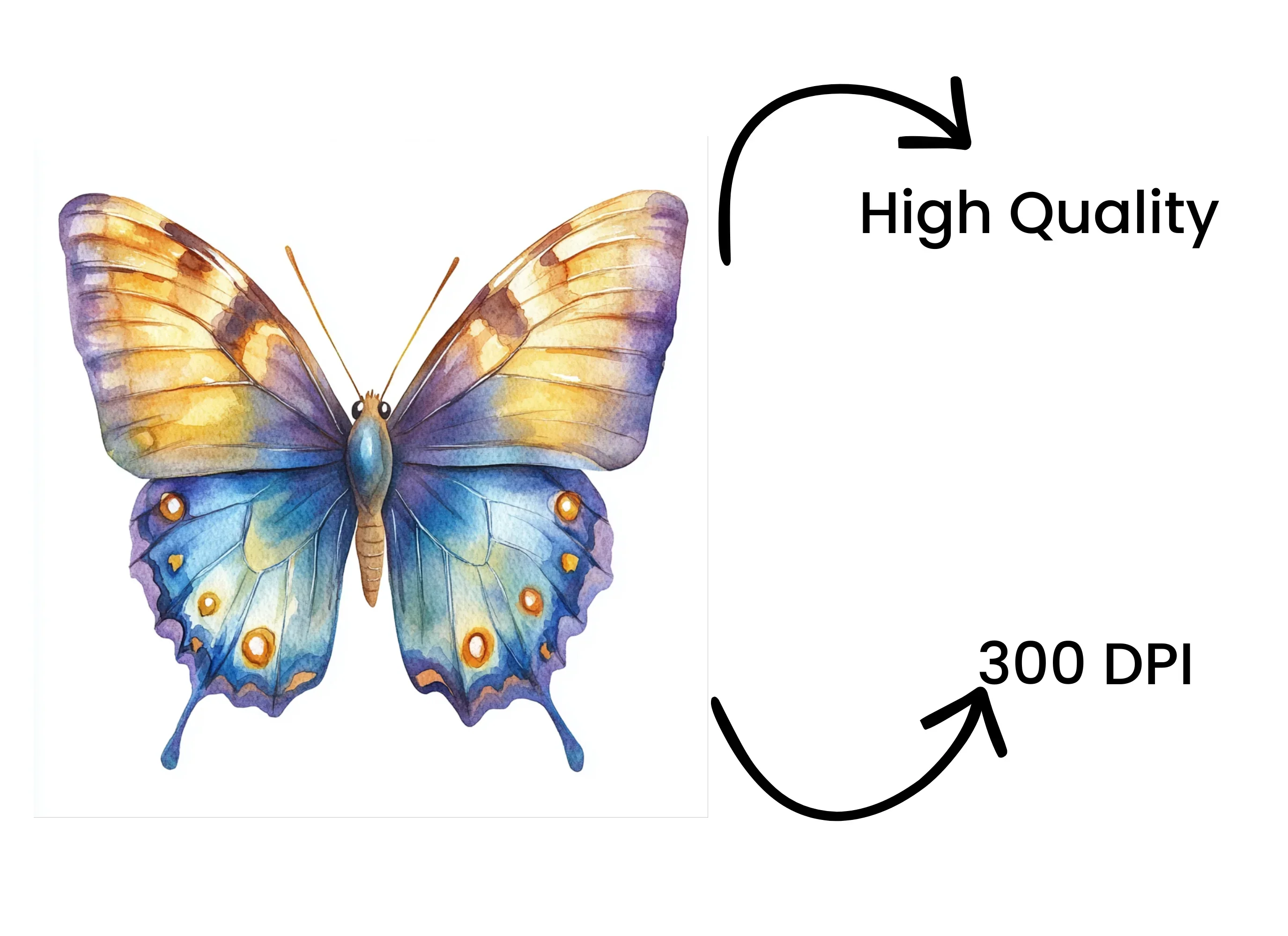 Elegant Blue and Gold Butterfly Clipart Bundle - Image 4