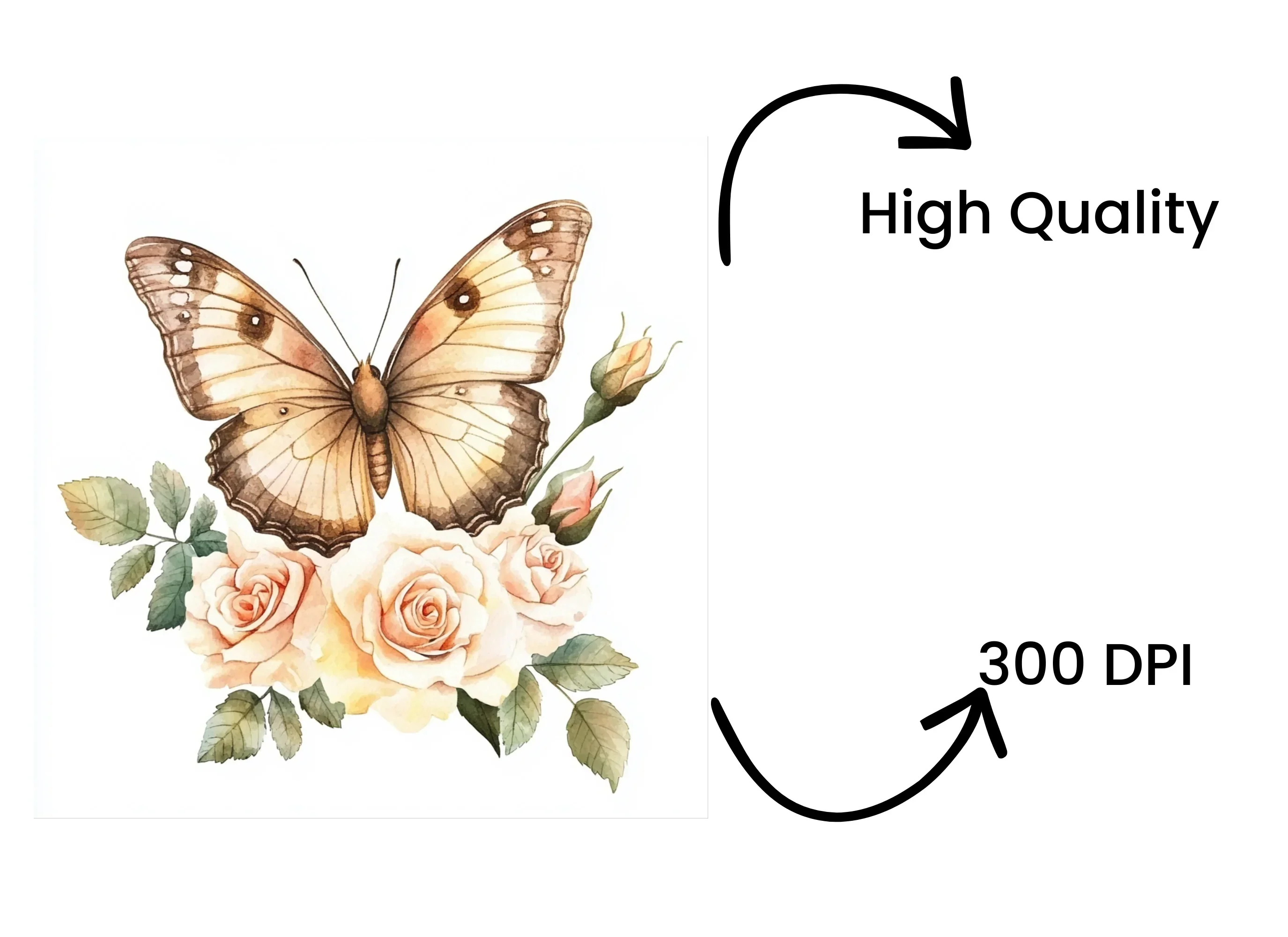 Elegant Butterfly and Rose Clipart Bundle - Image 4