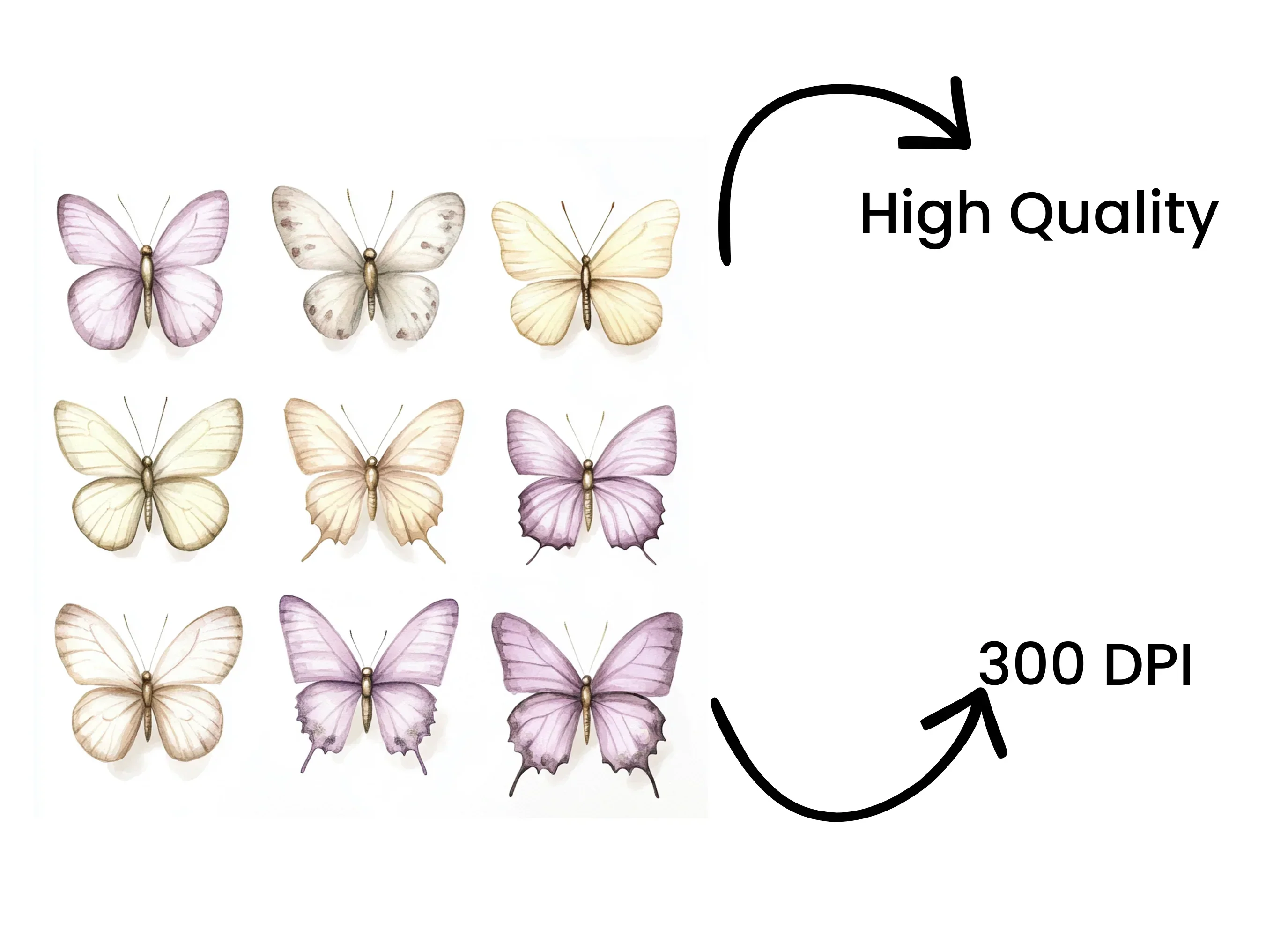 Elegant Butterfly Clipart Bundle - Image 4