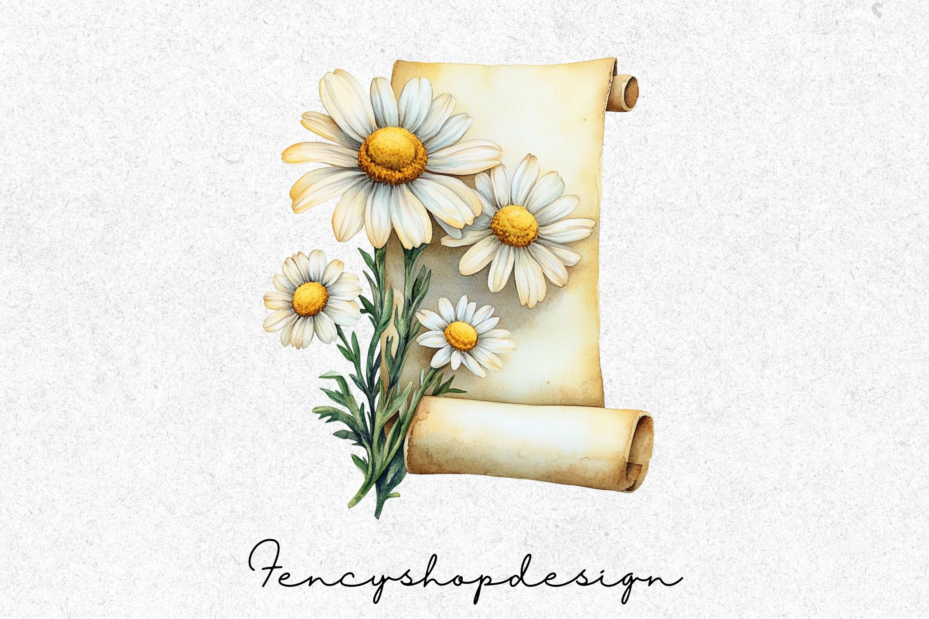 Elegant Daisy Scroll Clipart Bundle - Image 3