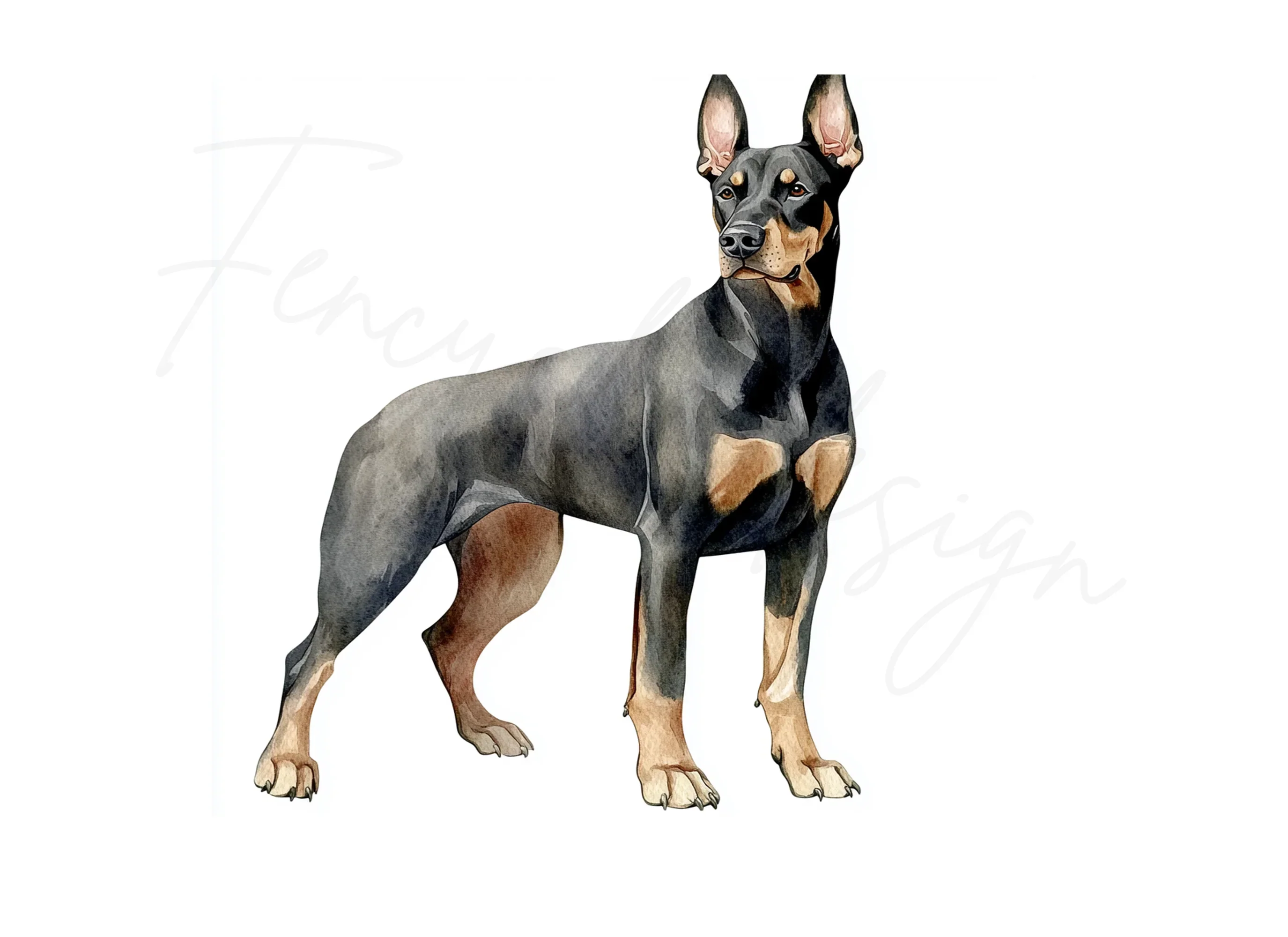 Elegant Doberman Dog Clipart Bundle - Image 3