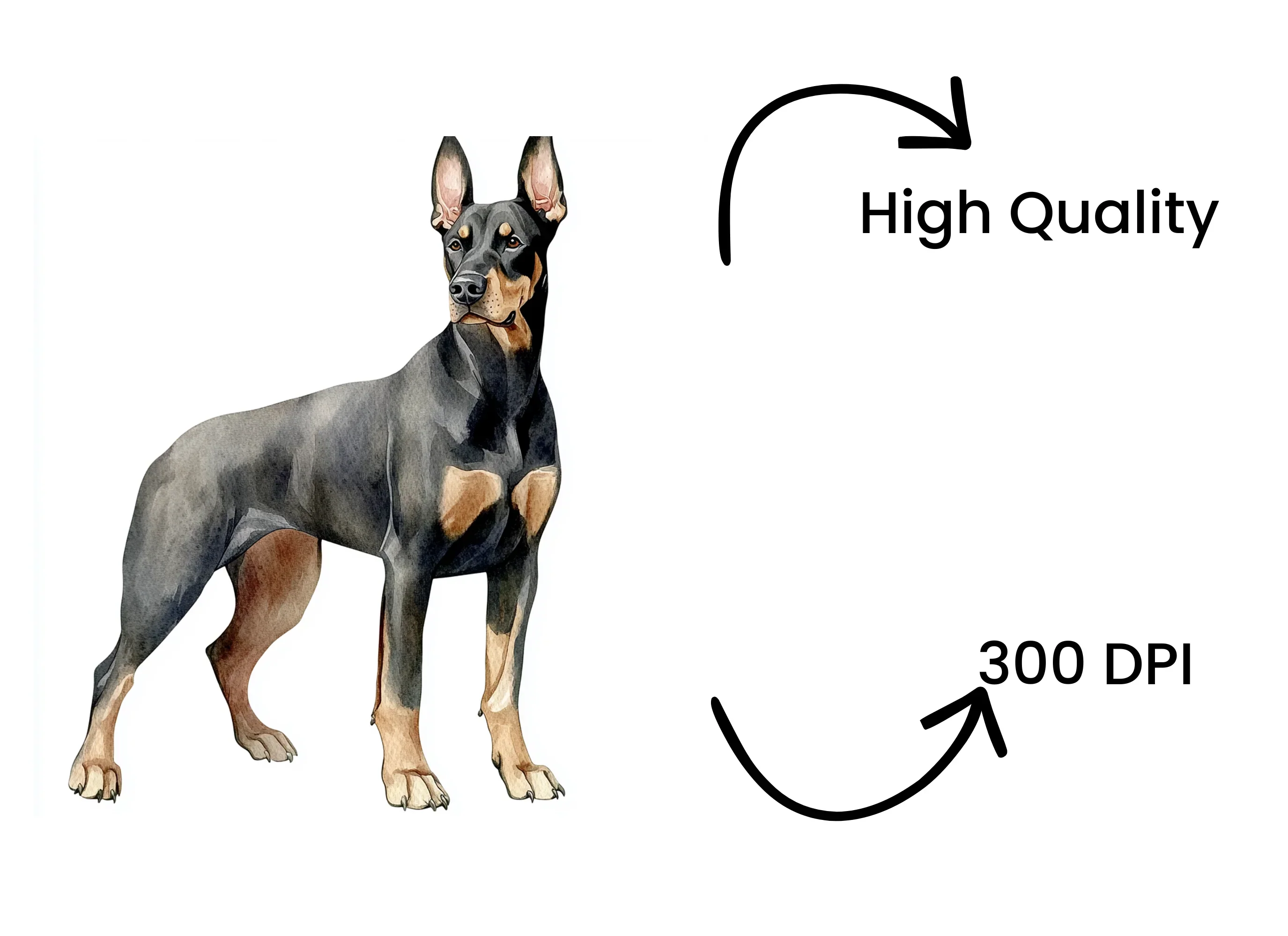 Elegant Doberman Dog Clipart Bundle - Image 4