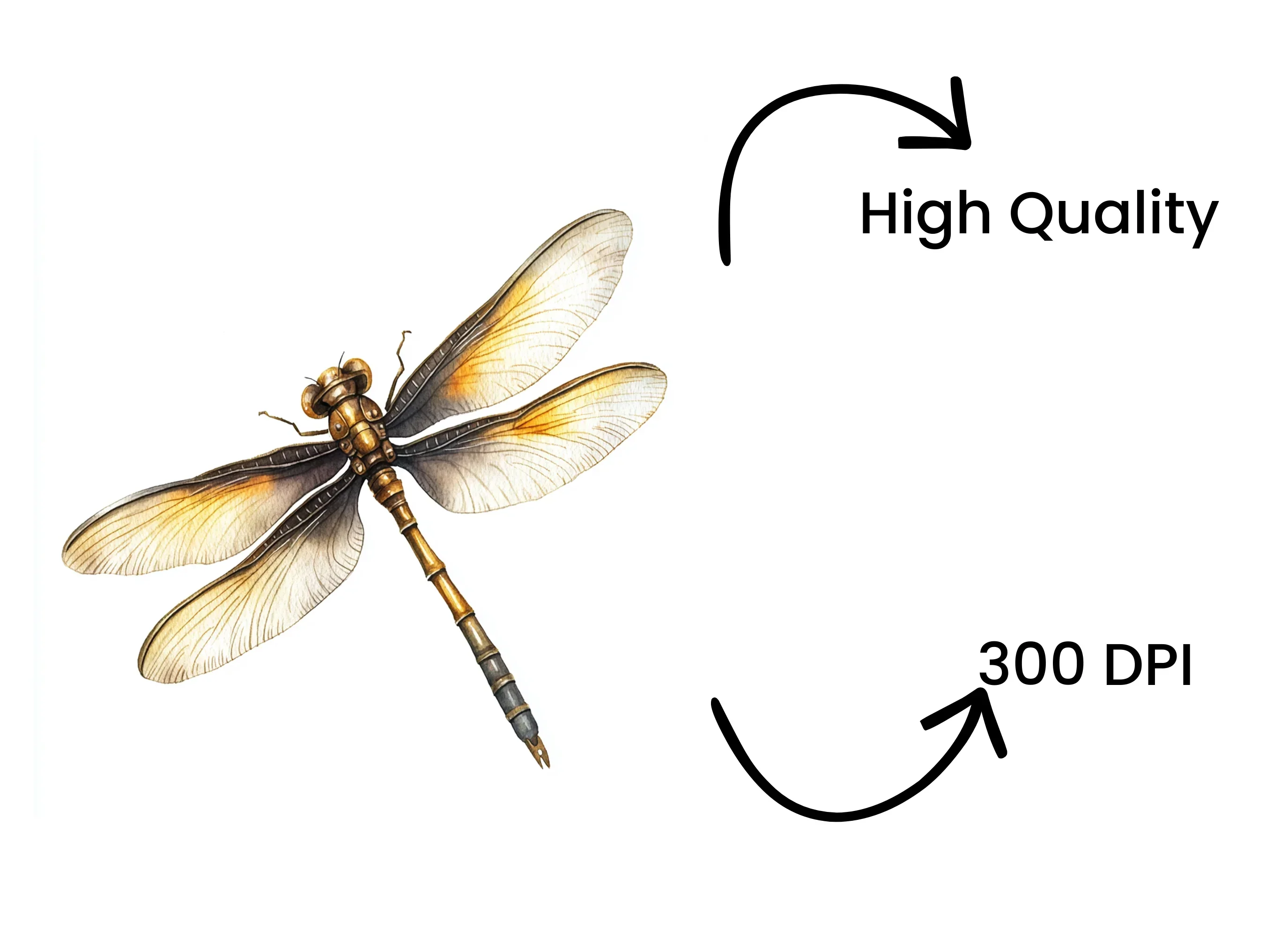 Elegant Dragonfly Clipart Bundle - Image 4
