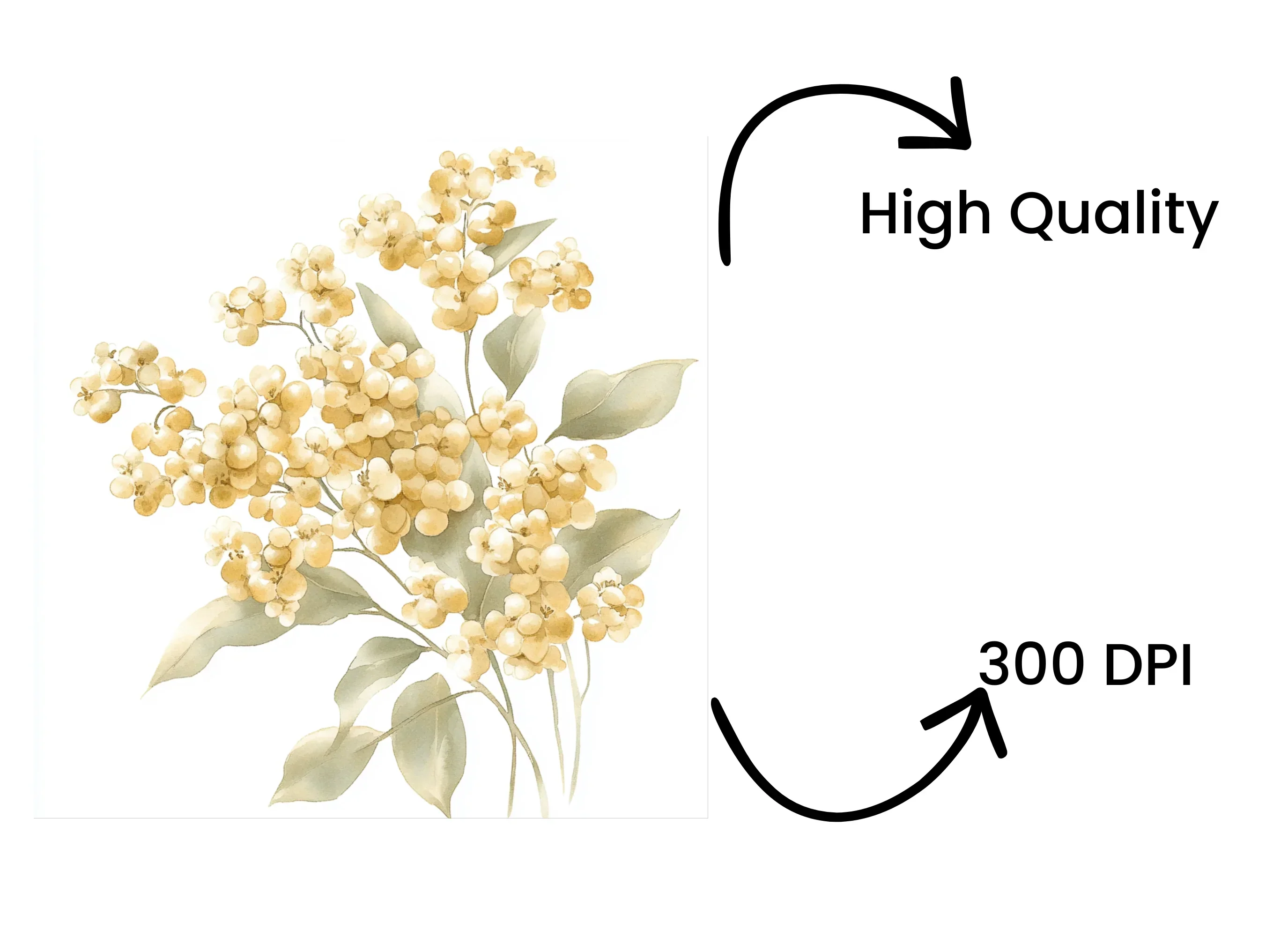 Elegant Floral Arrangement Clipart Bundle - Image 4