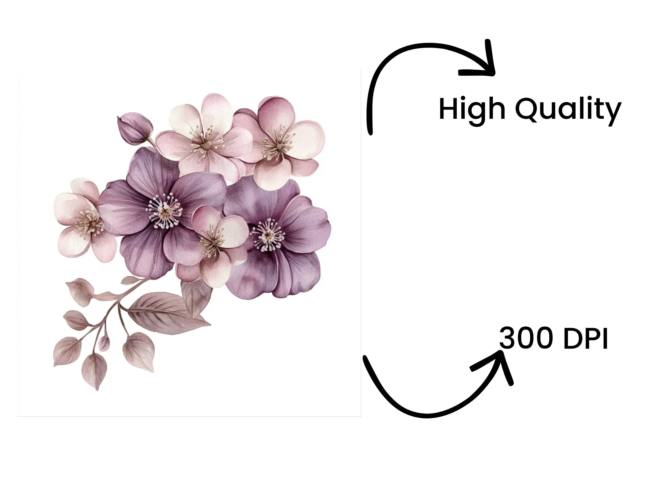 Elegant Floral Clipart Bundle - Image 4