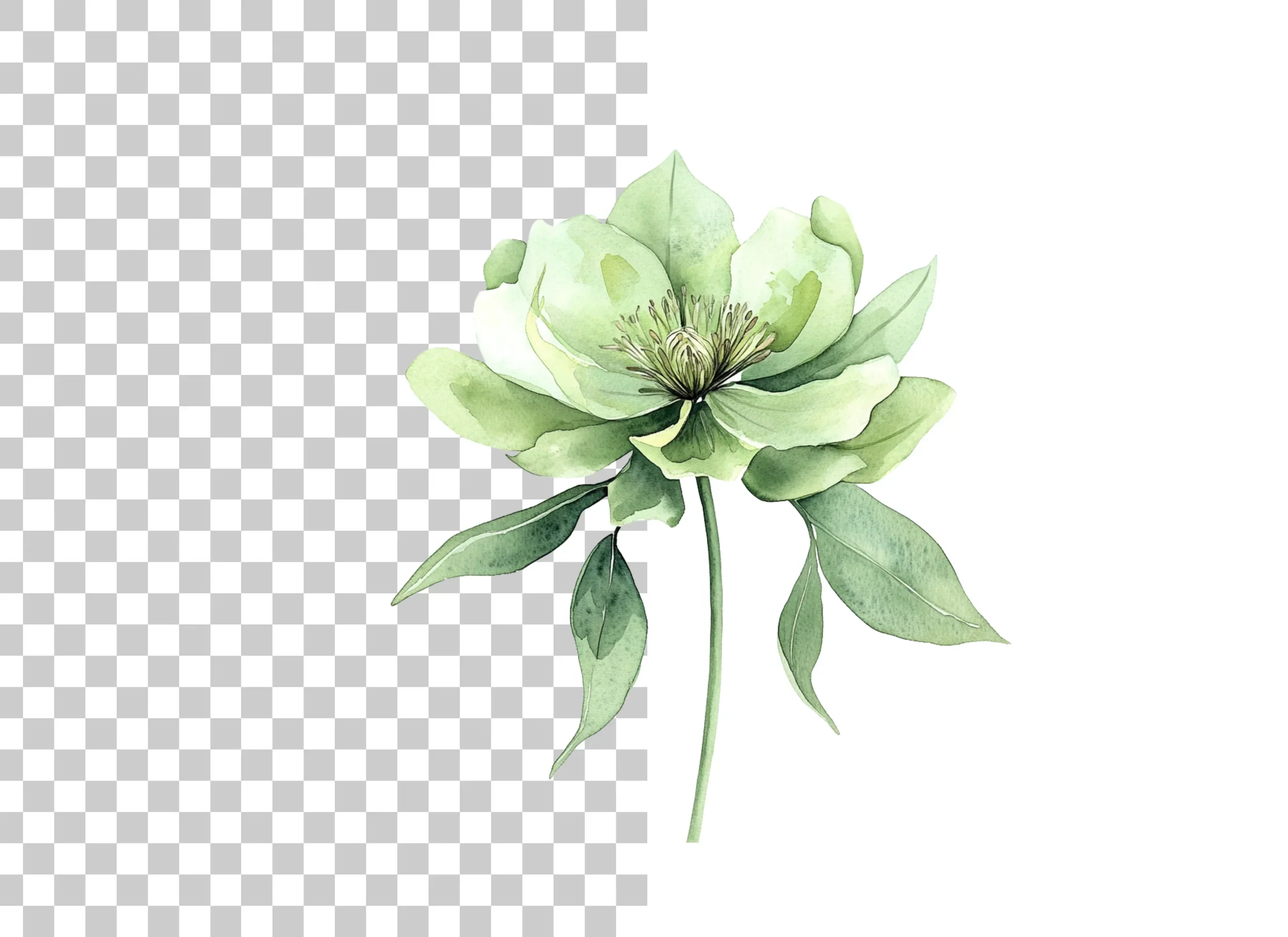 Elegant Green Hellebore Flower Clipart Bundle - Image 2