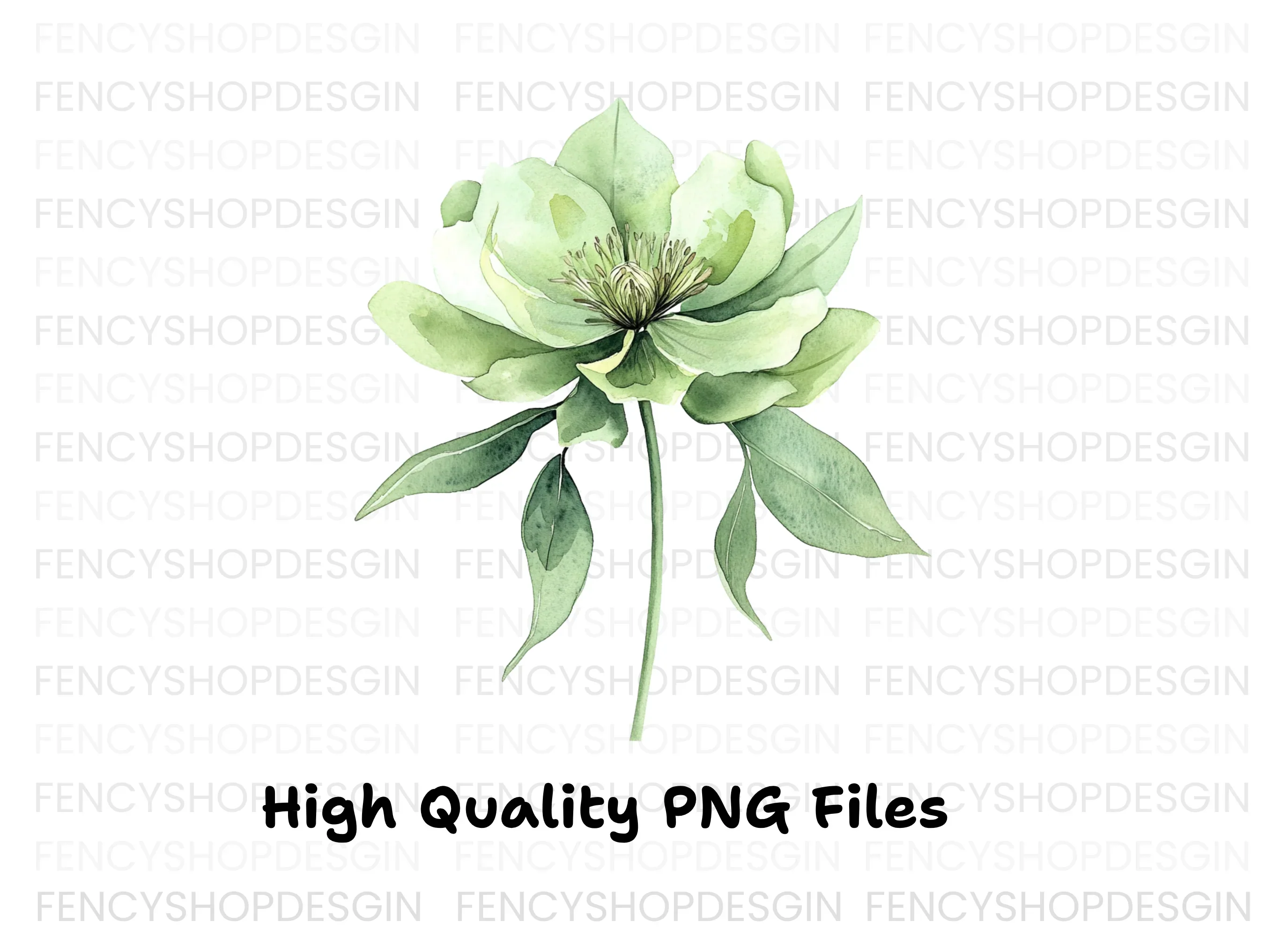 Elegant Green Hellebore Flower Clipart Bundle - Image 3