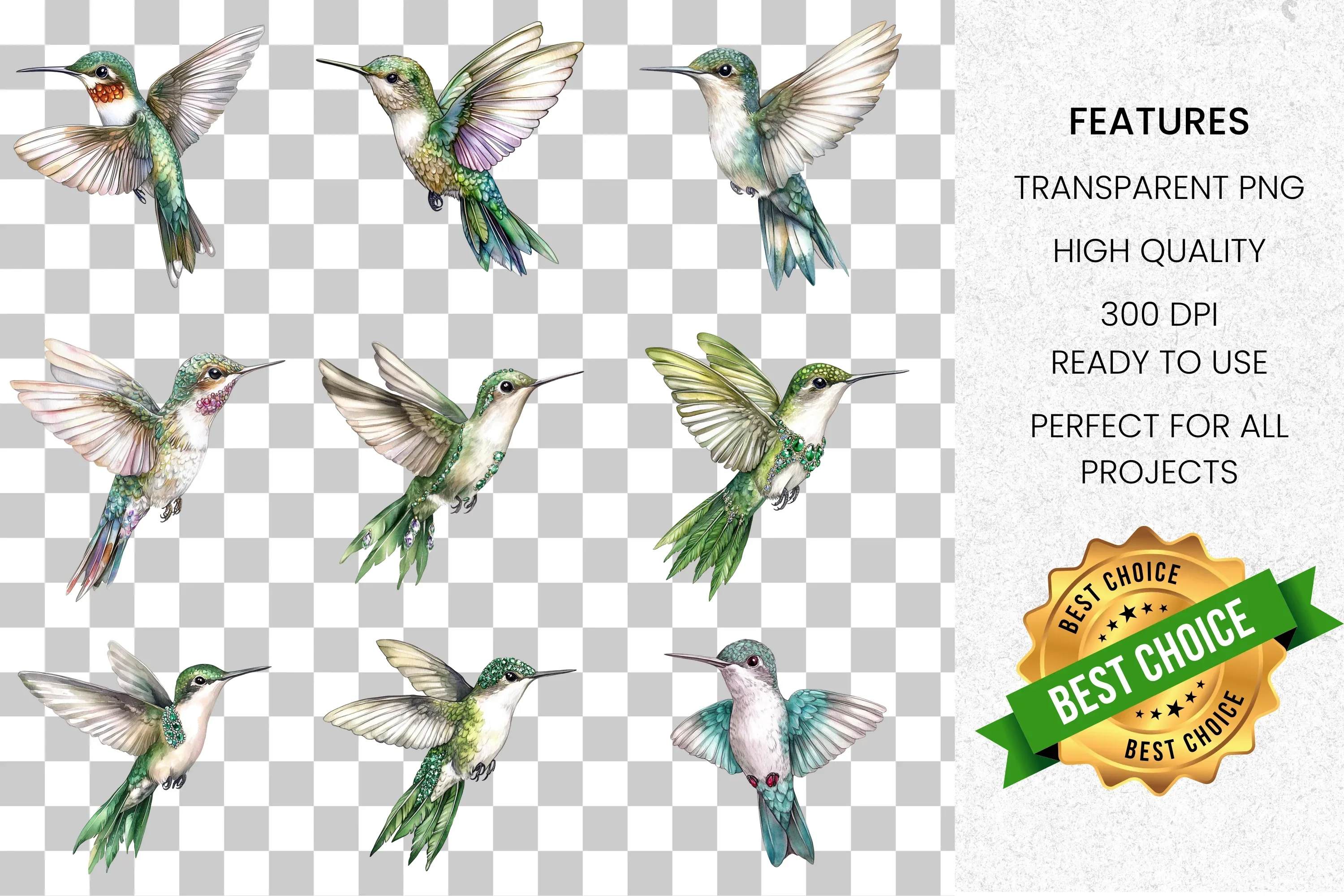 Elegant Hummingbirds Clipart Bundle - Image 2