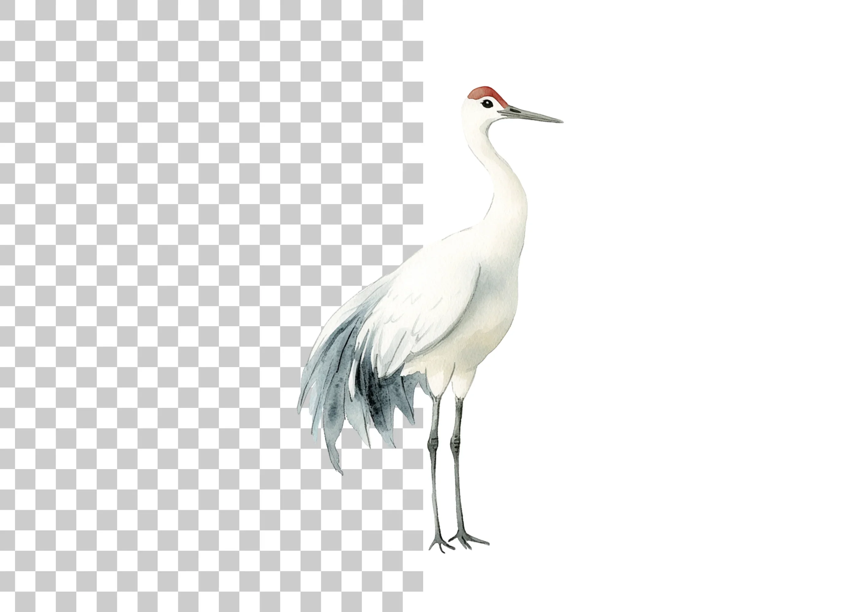 Elegant Japanese Crane Clipart Bundle - Image 2