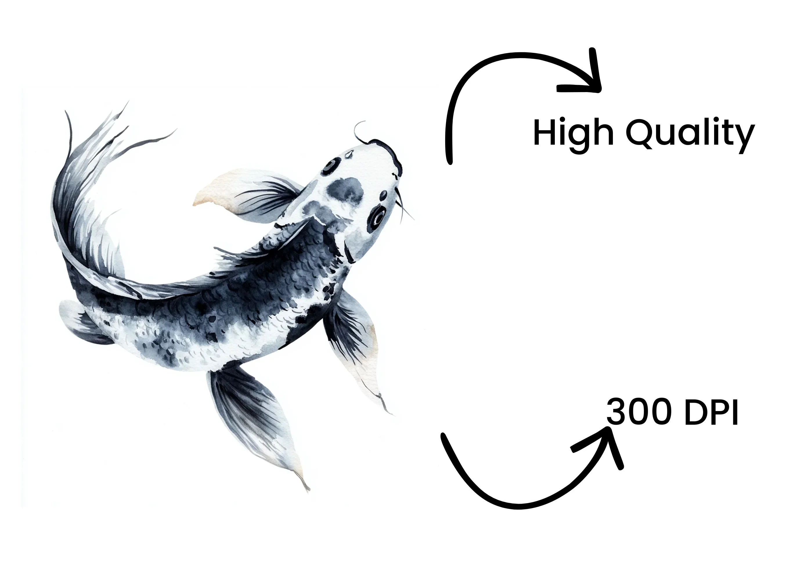 Elegant Koi Fish Clipart Bundle - Image 4