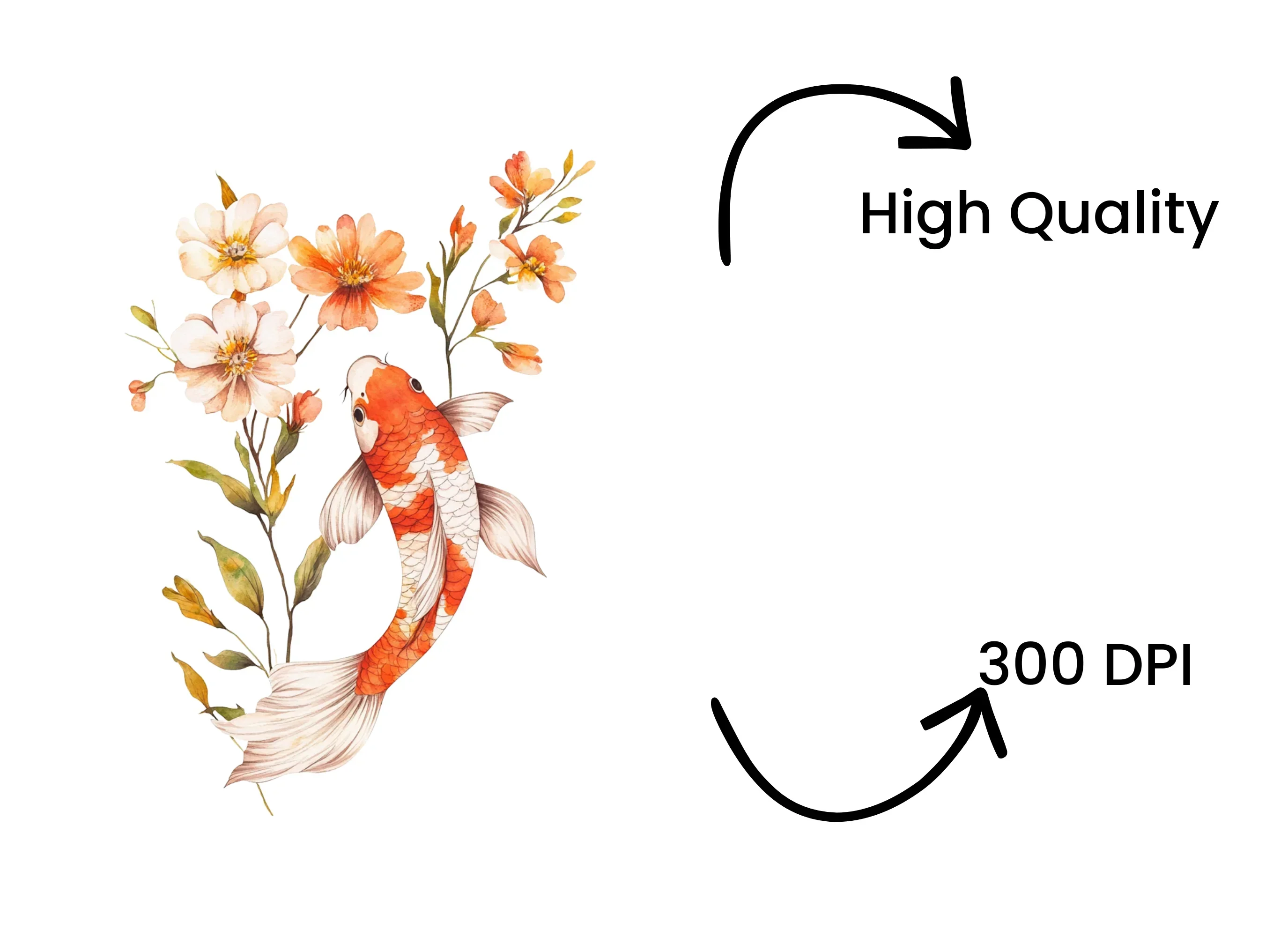 Elegant Koi Fish with Floral Accents Clipart Bundle - Image 4