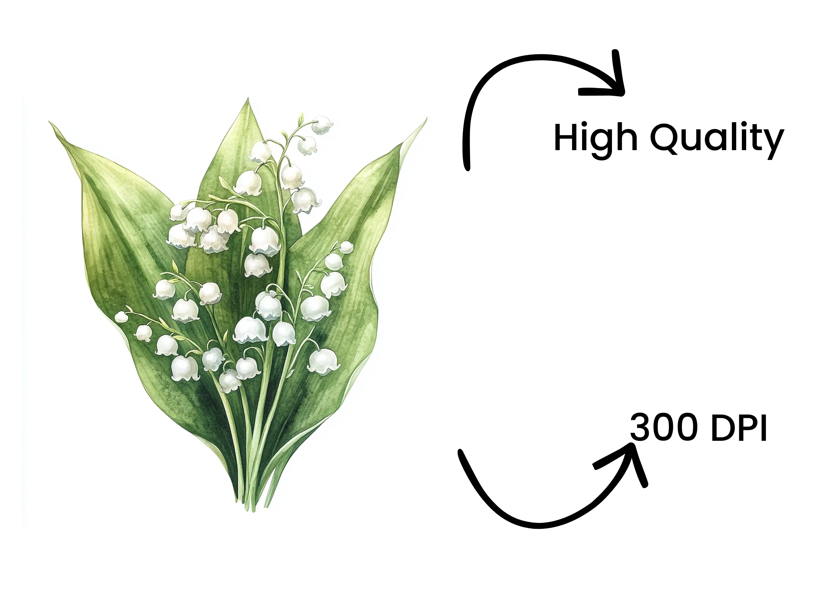 Elegant Lily of the Valley Clipart Bundle - Image 4