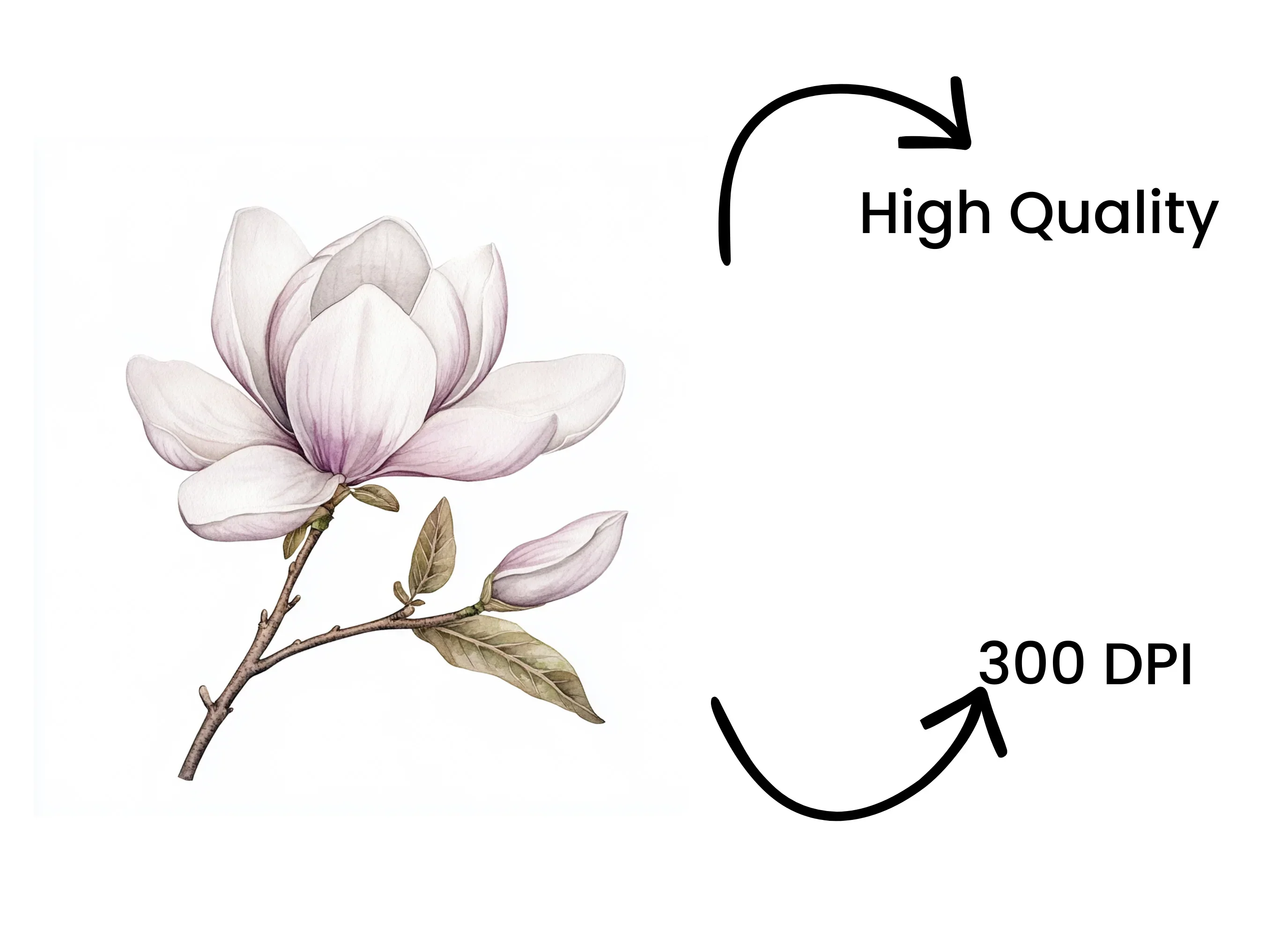 Elegant Magnolia Clipart Bundle - Image 4