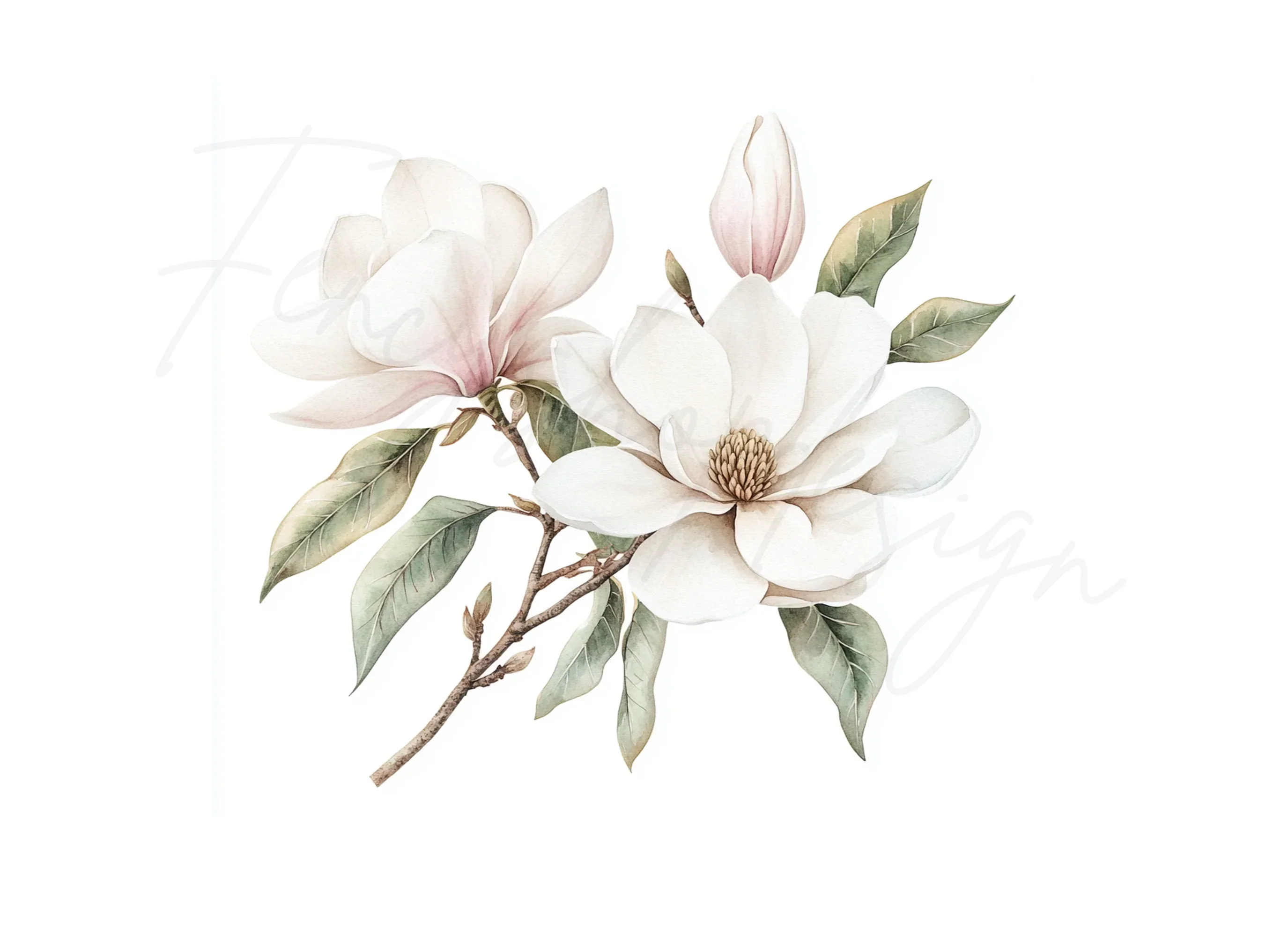 Elegant Magnolia Flower Clipart Bundle - Image 3