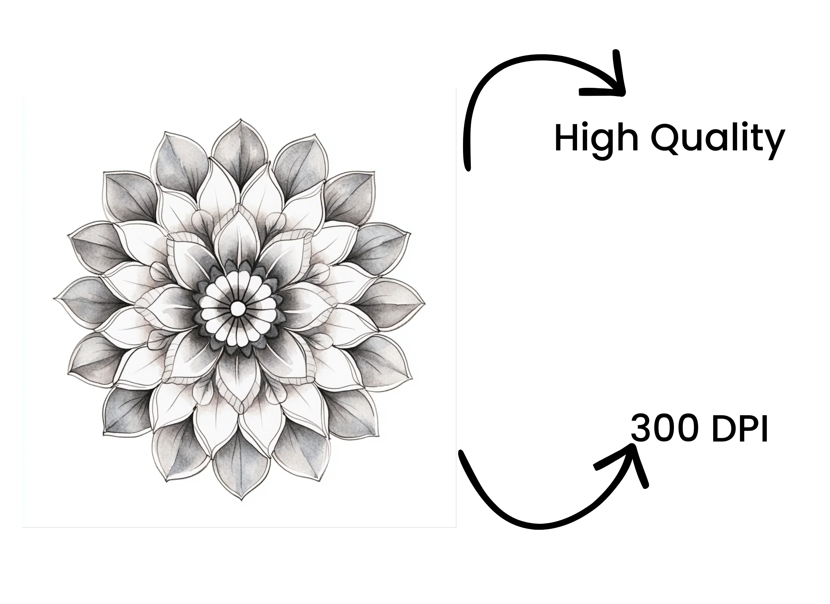 Elegant Monochrome Mandala Clipart Bundle - Image 4
