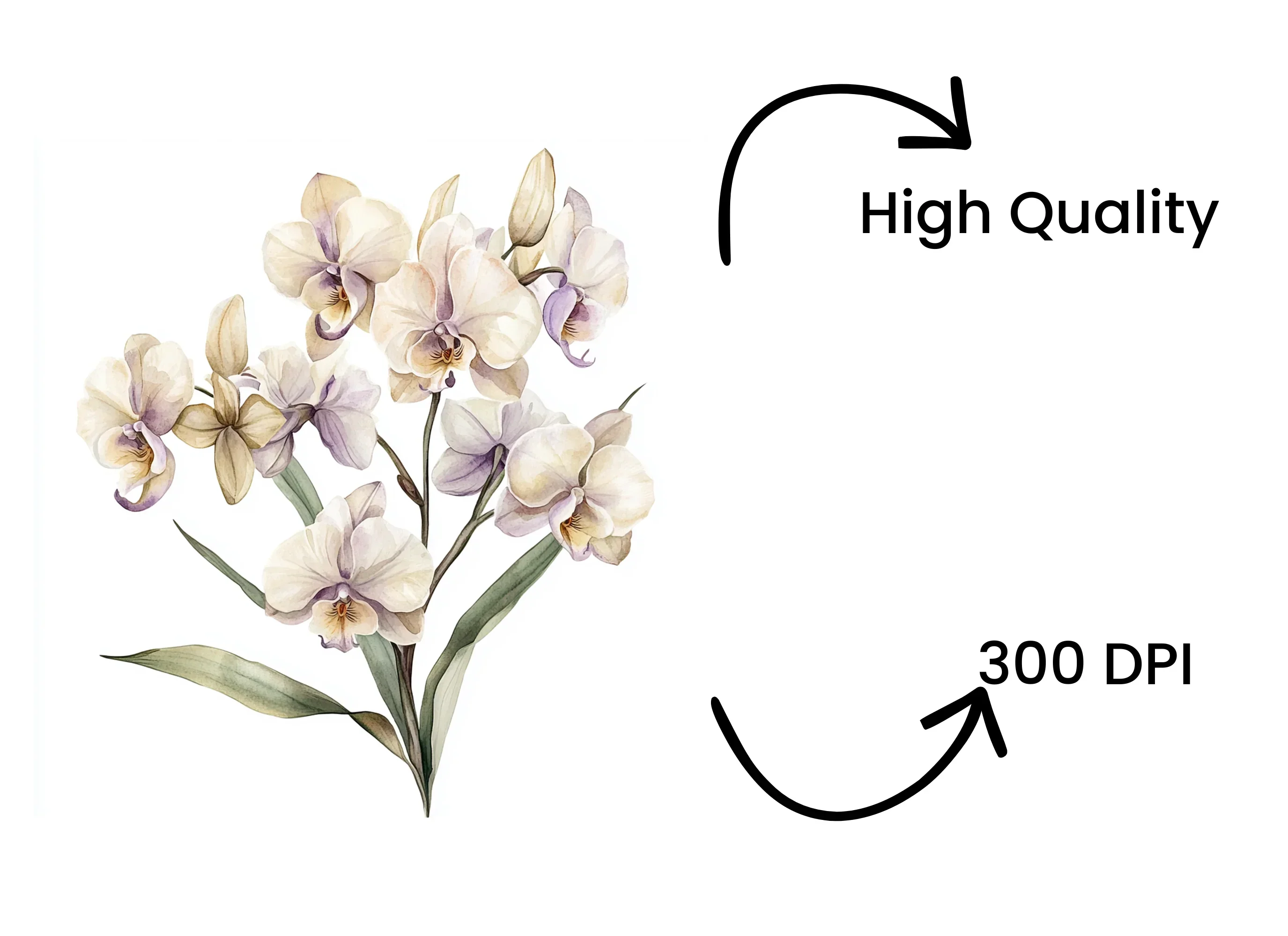 Elegant Orchid Clipart Bundle - Image 4