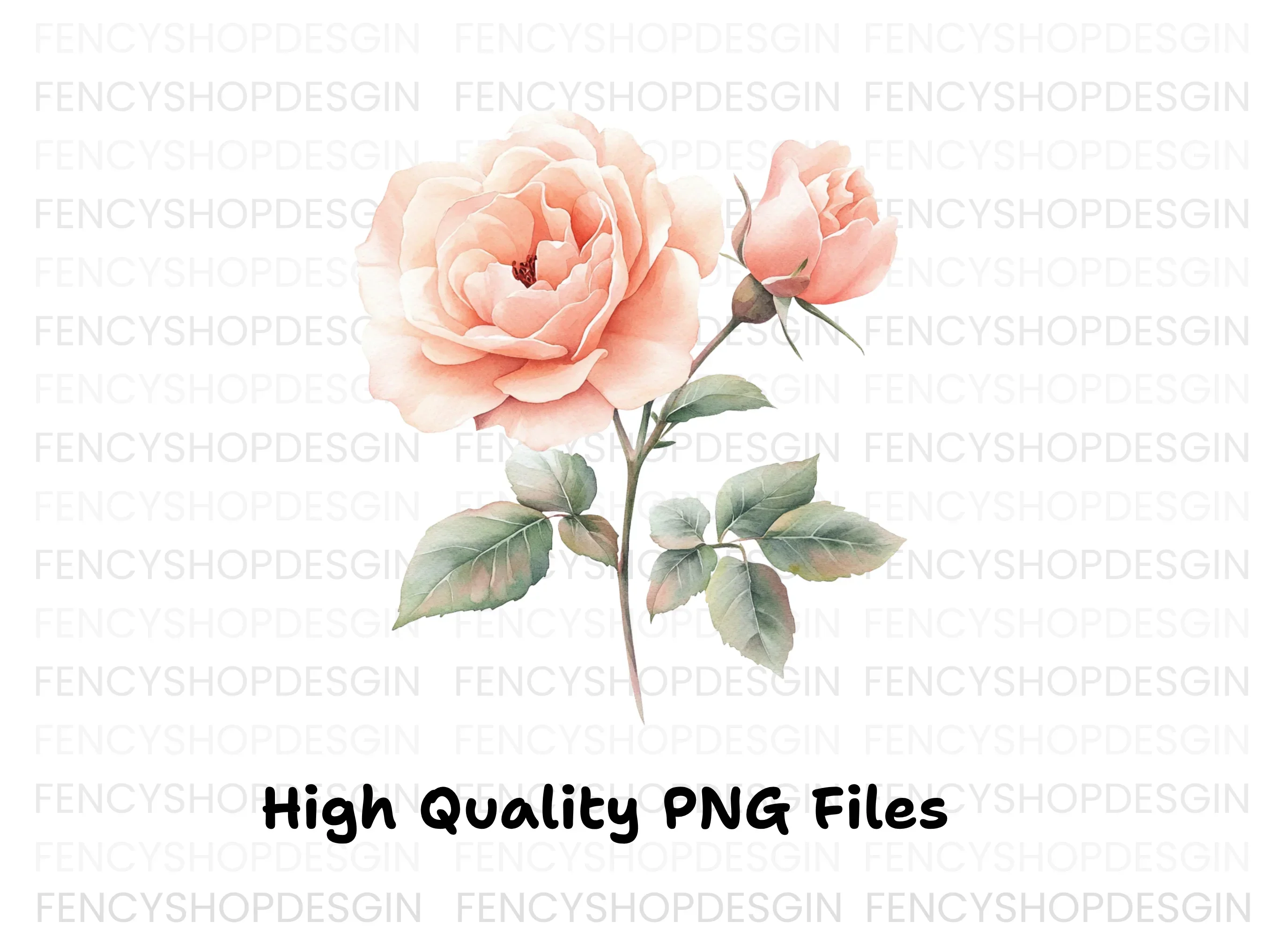 Elegant Peach Rose Illustration Clipart Bundle - Image 4