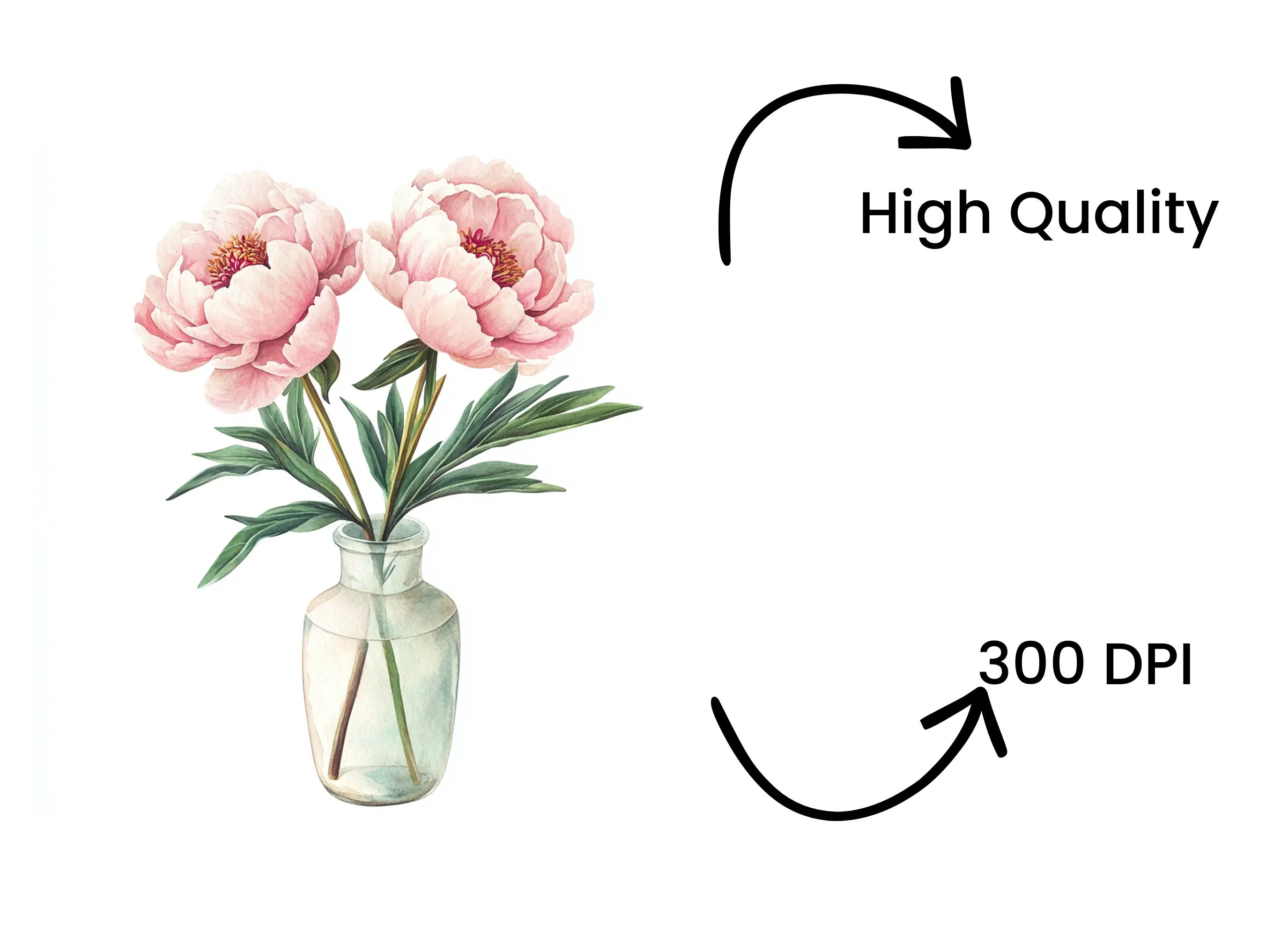 Elegant Peonies in Glass Vase Clipart Bundle - Image 4