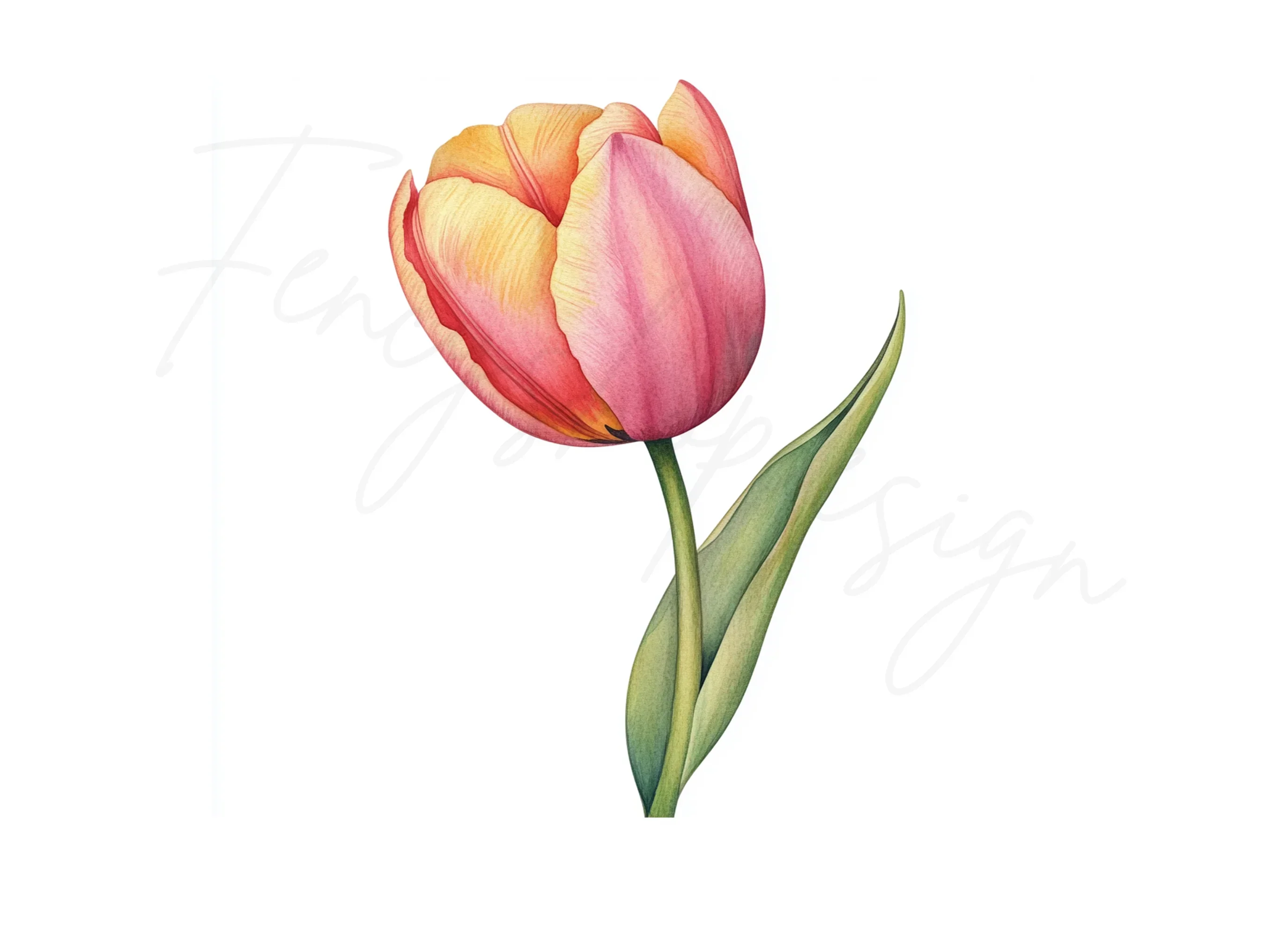 Elegant Pink and Yellow Tulip Clipart Bundle - Image 3