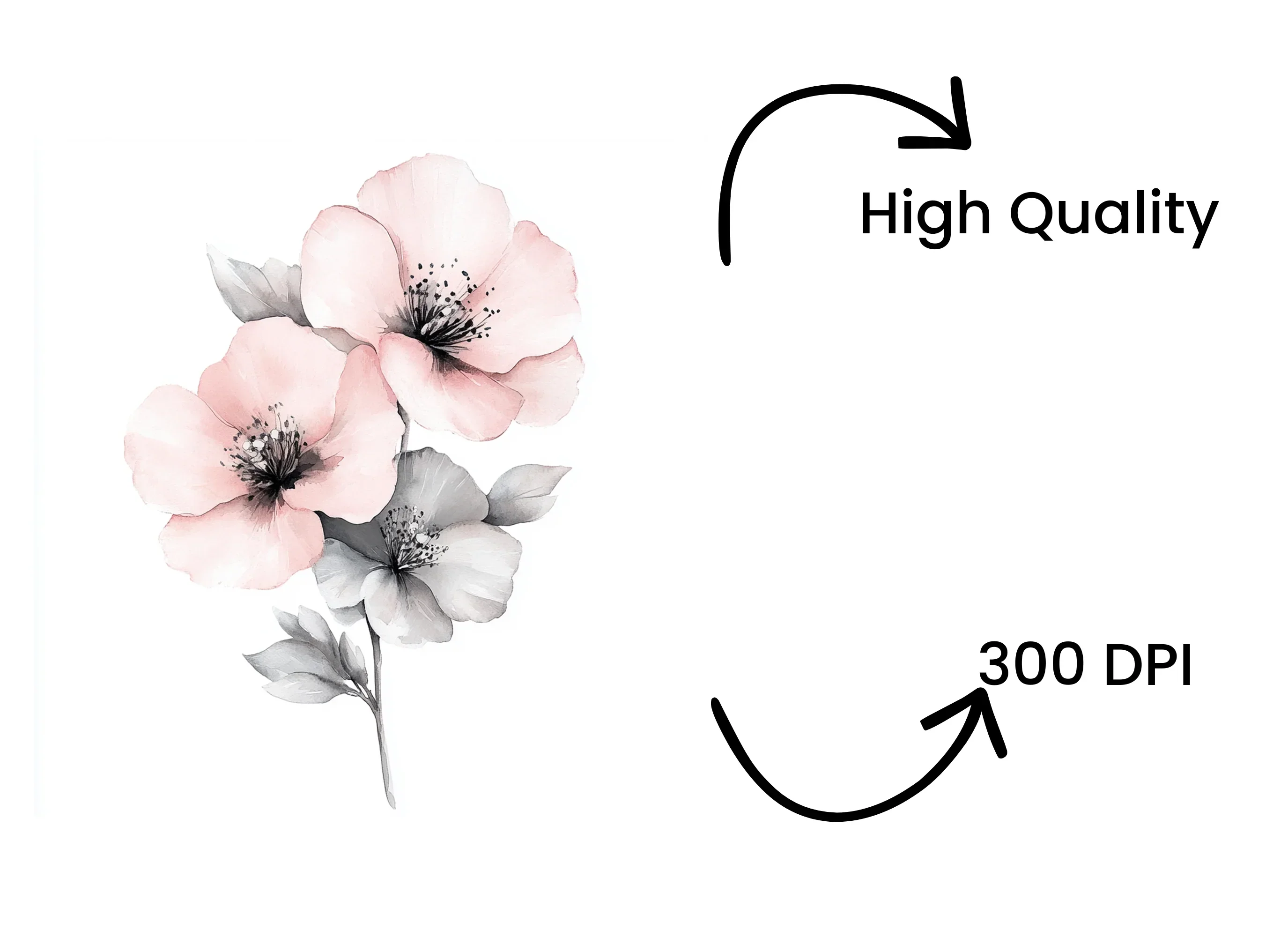 Elegant Pink Floral Clipart Bundle - Image 4