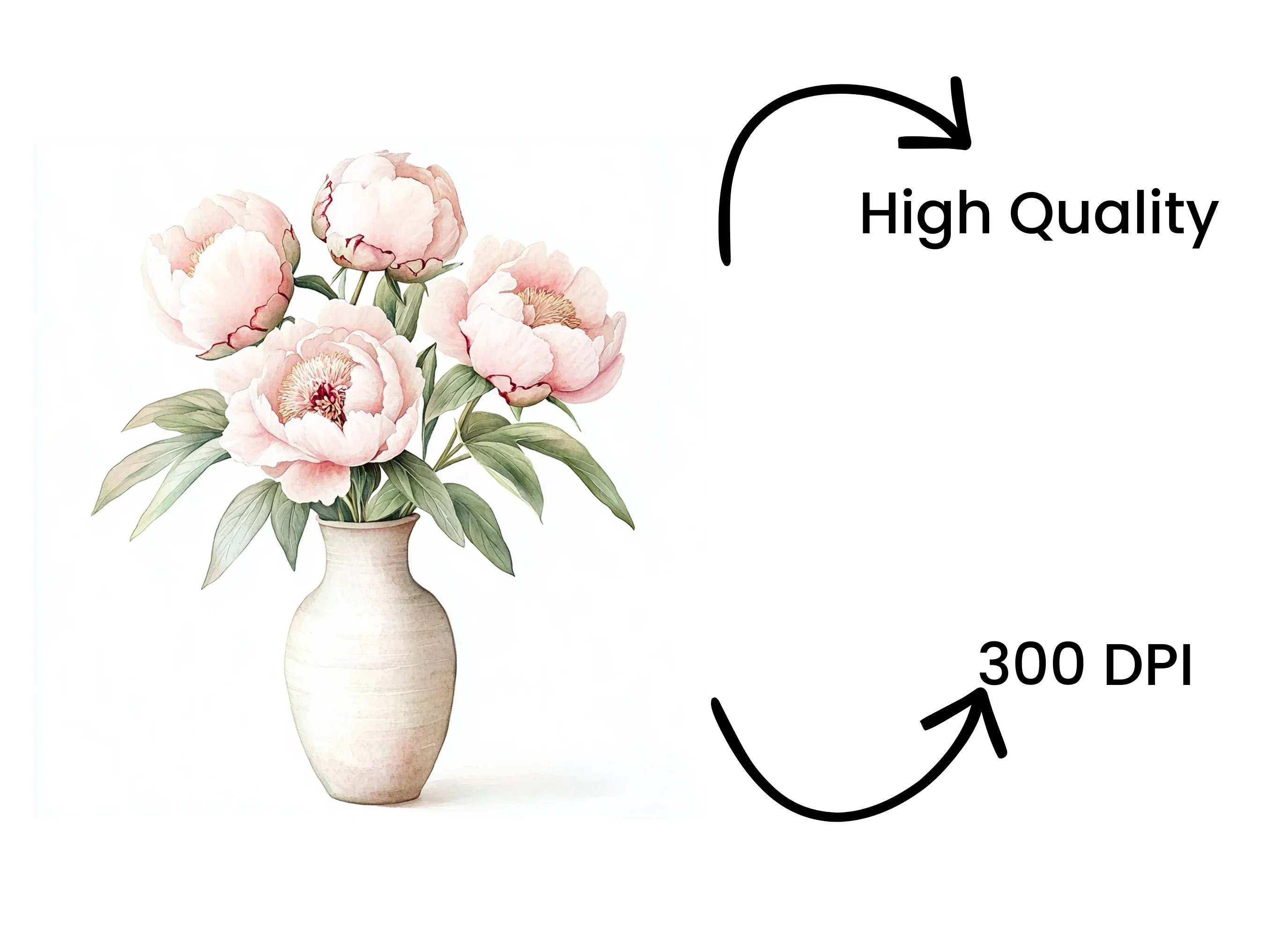 Elegant Pink Peony Bouquet Clipart Bundle - Image 4