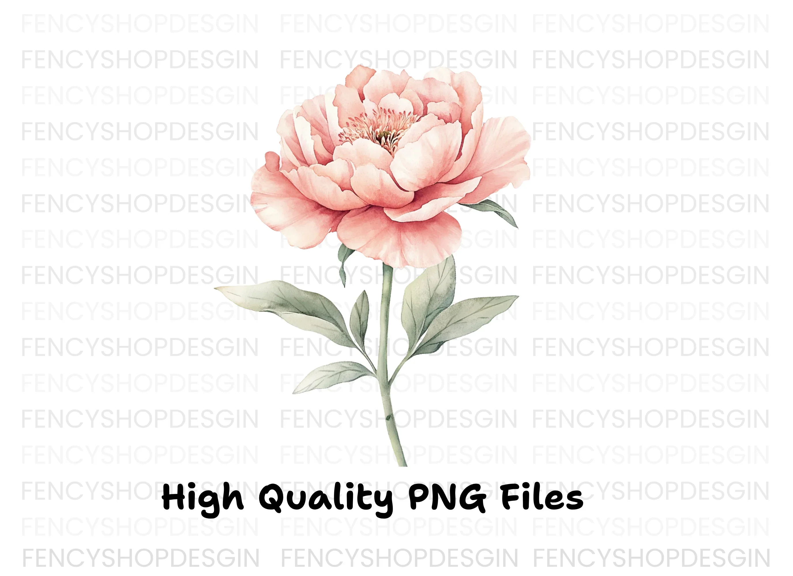 Elegant Pink Peony Clipart Bundle - Image 3