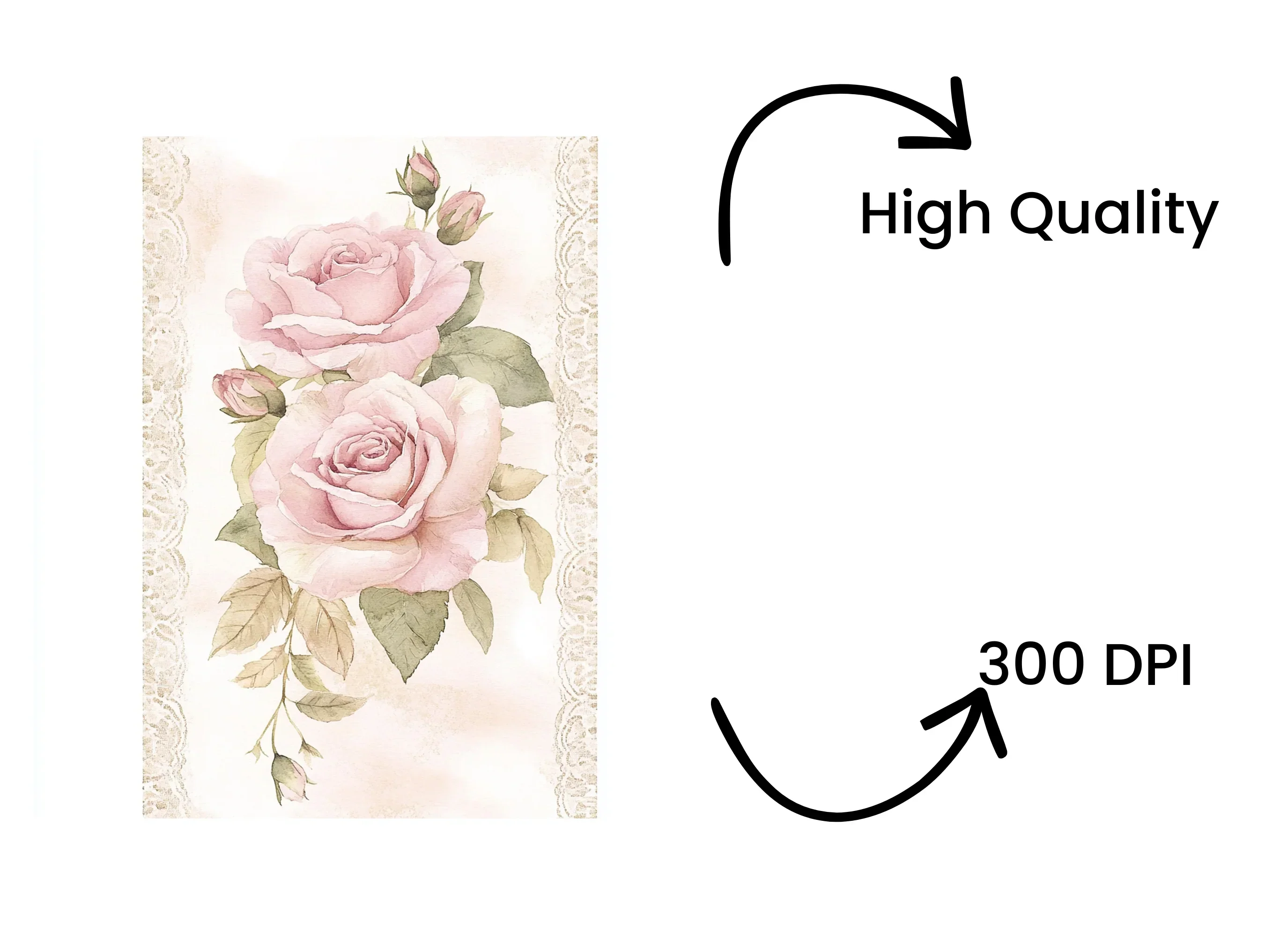 Elegant Pink Rose Clipart Bundle - Image 4