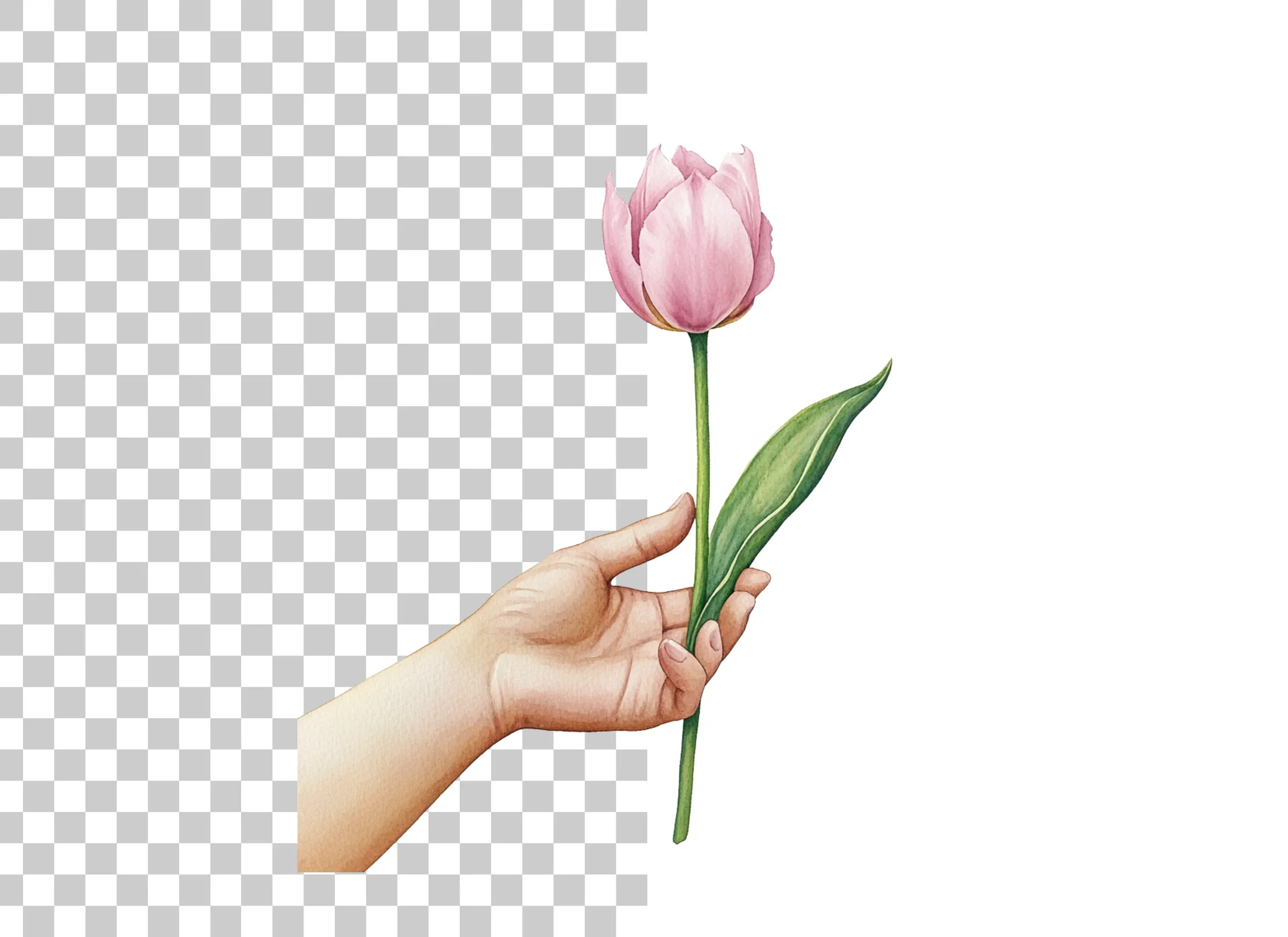 Elegant Pink Tulip Clipart Bundle - Image 6