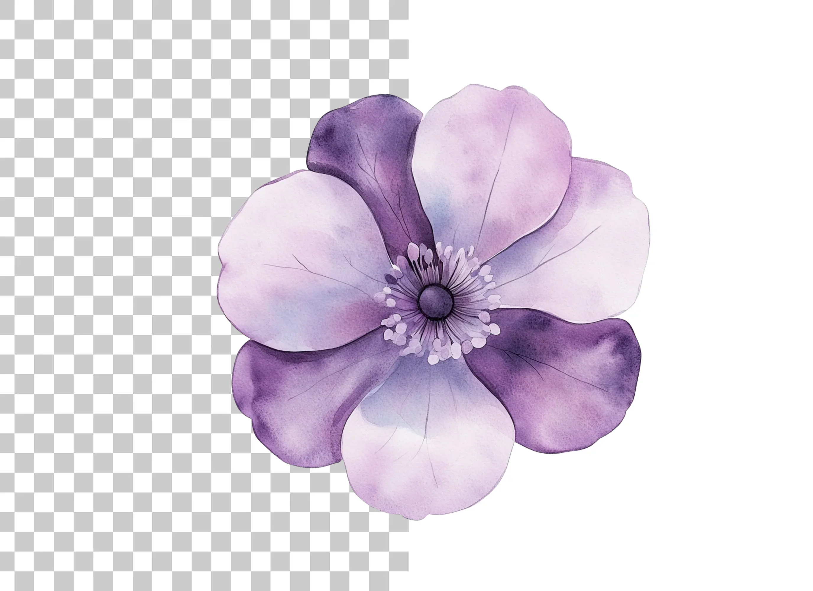 Elegant Purple Anemone Flower Clipart Bundle - Image 2