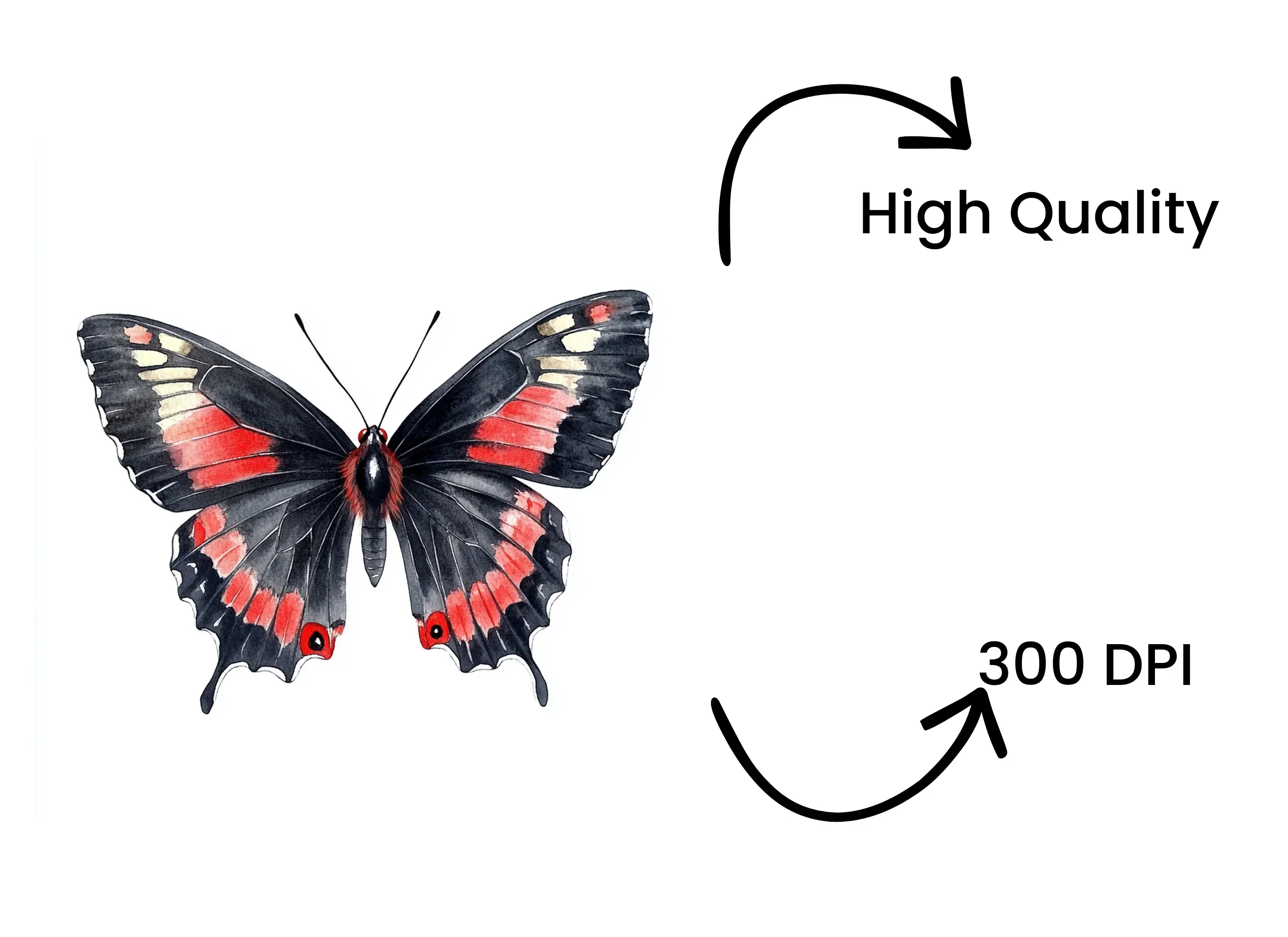 Elegant Red and Black Butterfly Clipart Bundle - Image 4