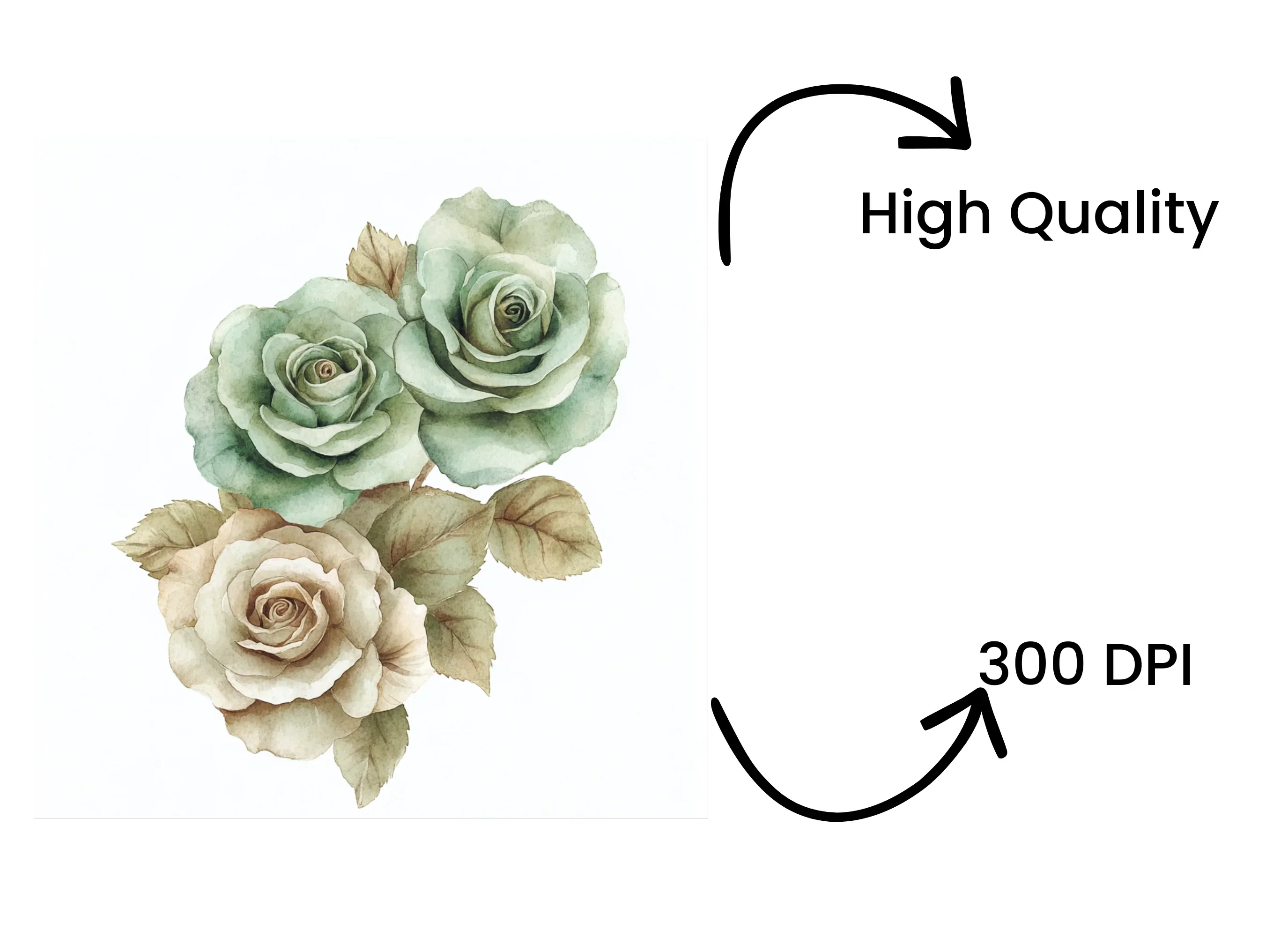 Elegant Sage Green Beige Rose Clipart Bundle - Image 4