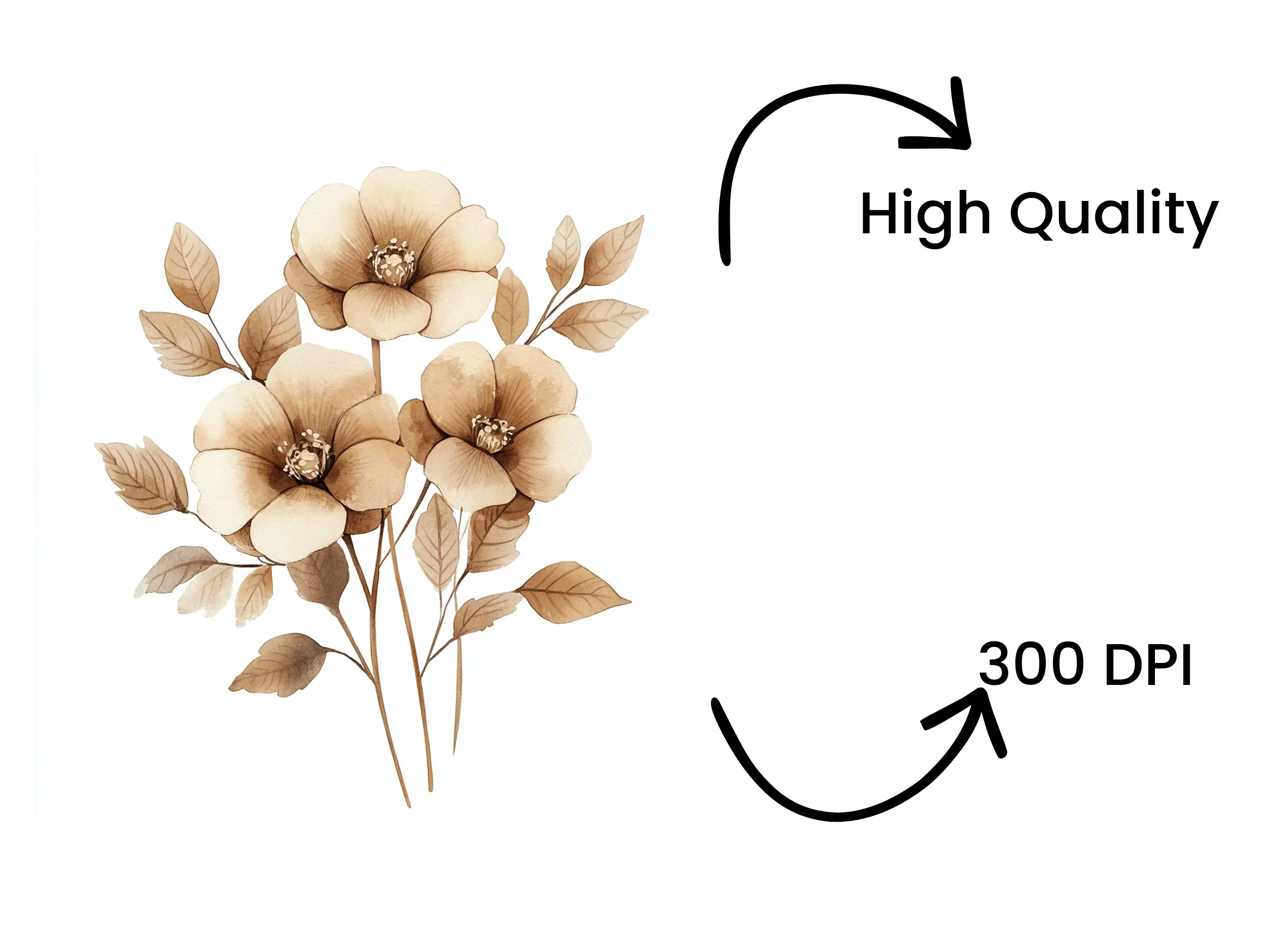 Elegant Sepia Floral Clipart Bundle - Image 4