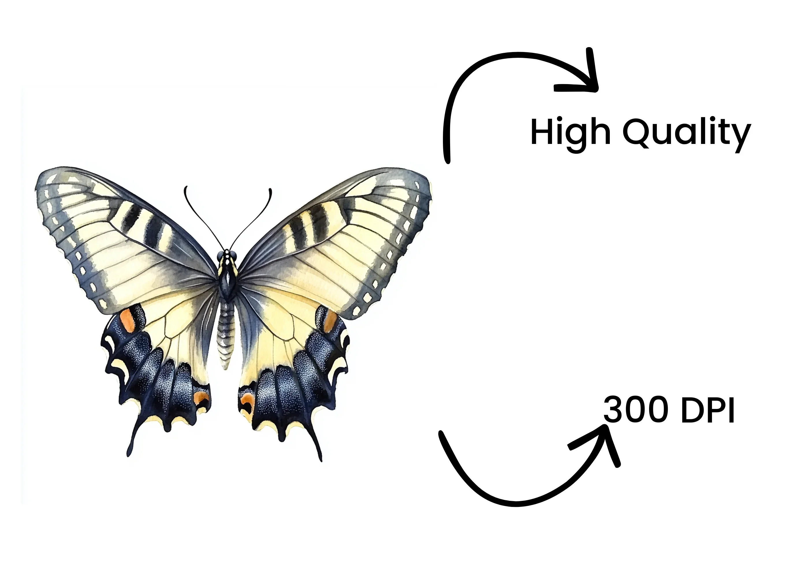 Elegant Swallowtail Butterfly Clipart Bundle - Image 4
