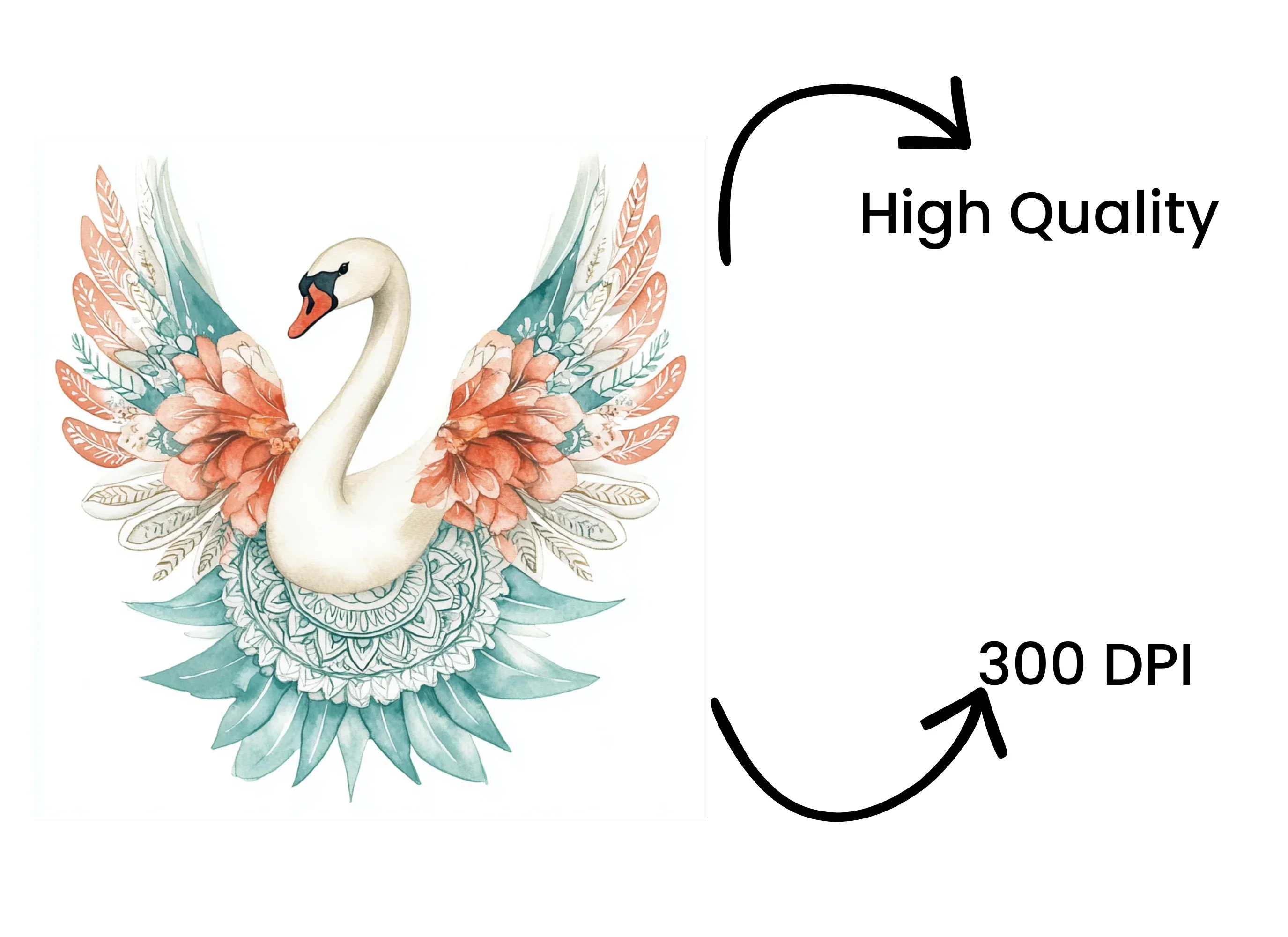Elegant Swan Mandala Clipart Bundle - Image 4